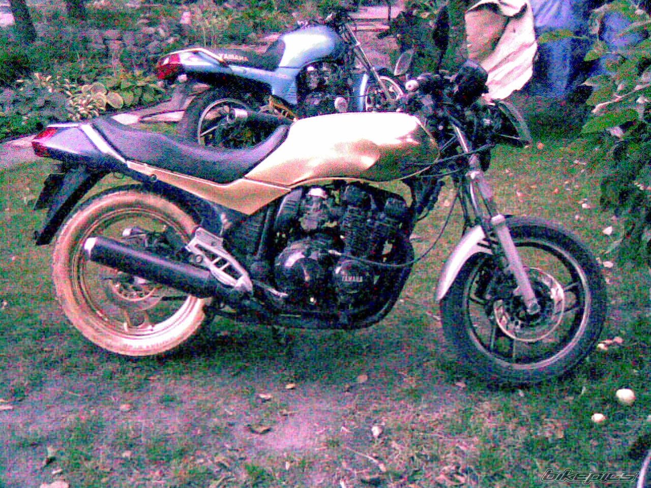 Bike Photo 1447311