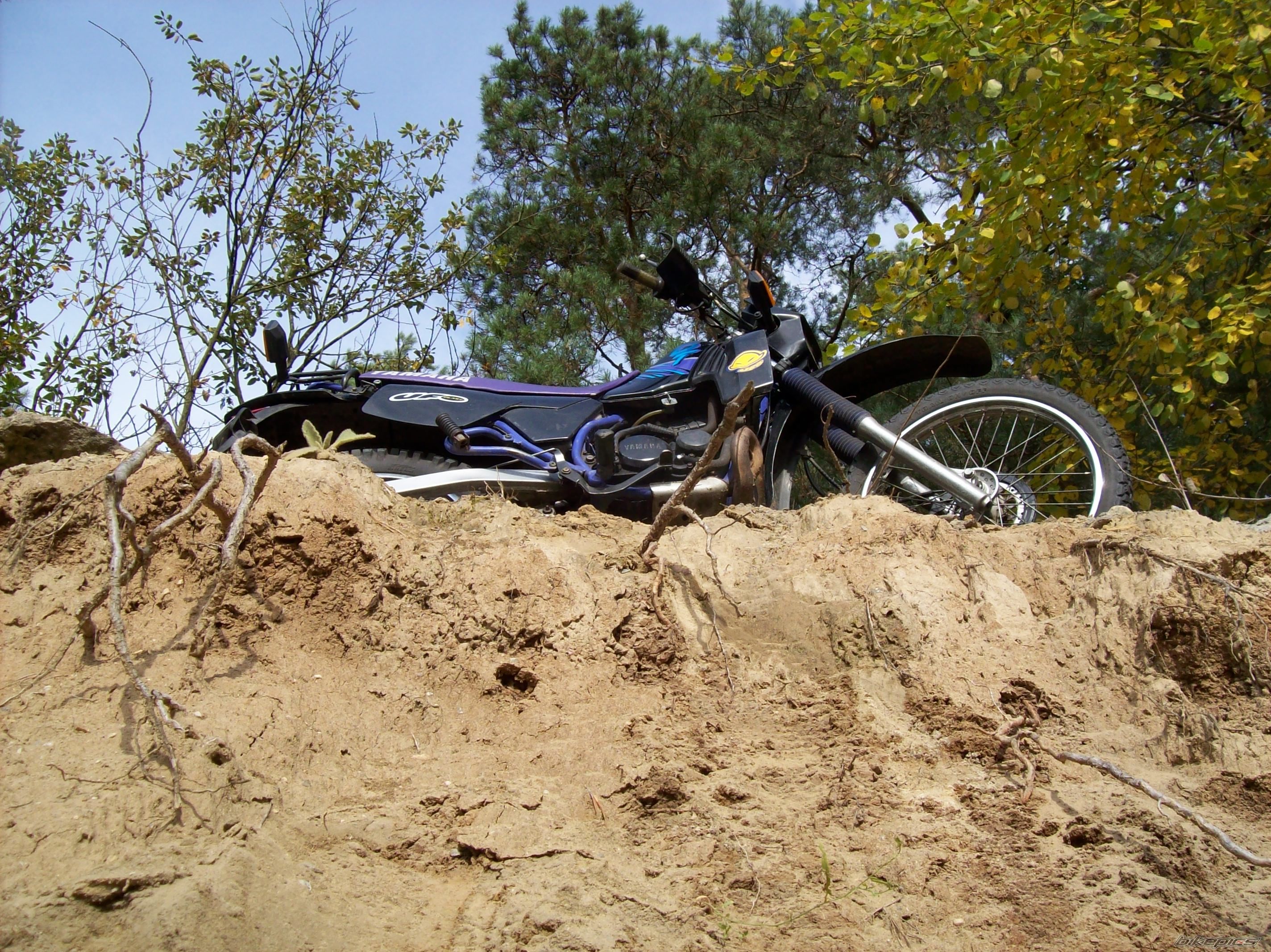 Photo 1447316