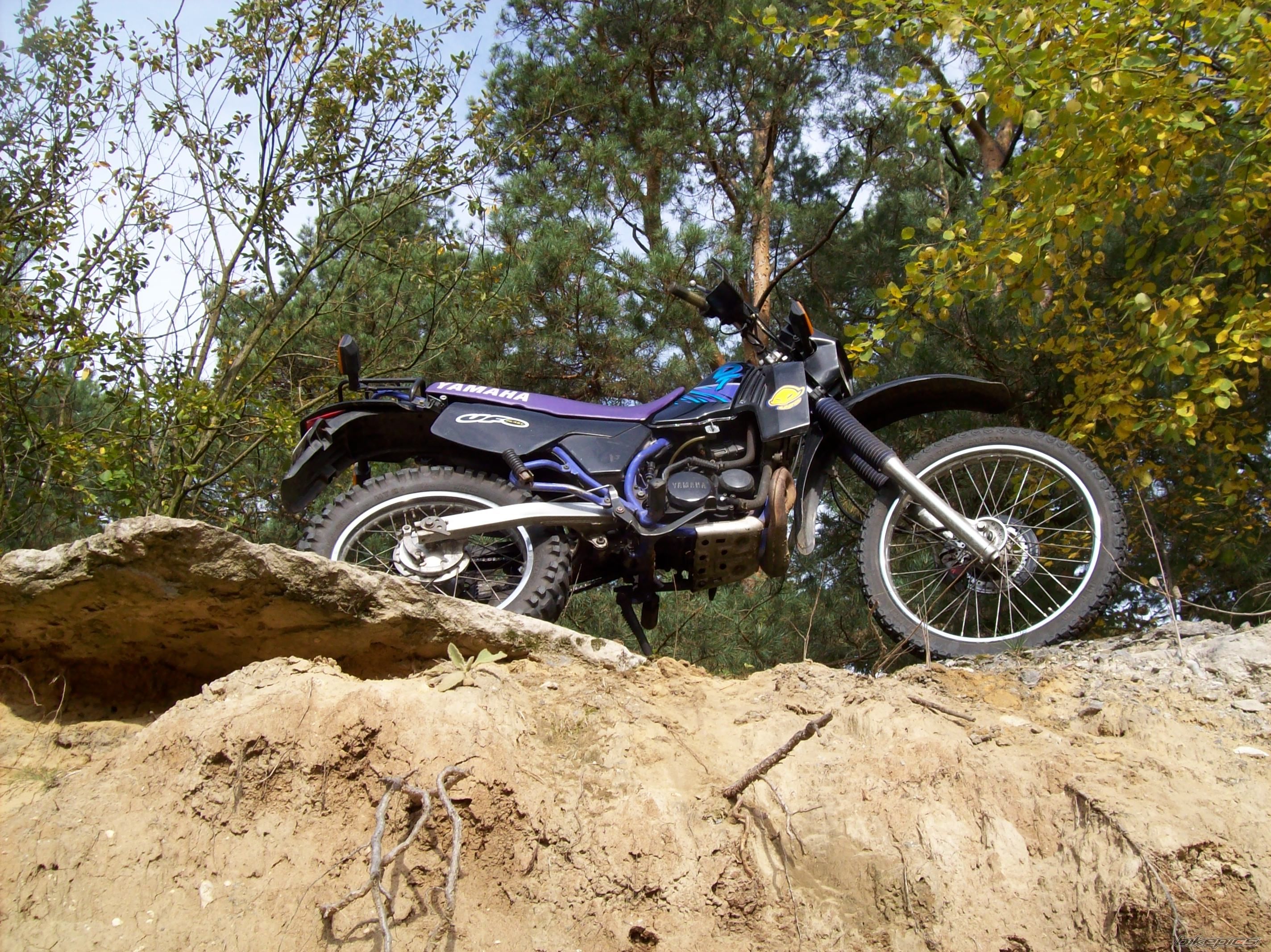 Photo 1447324