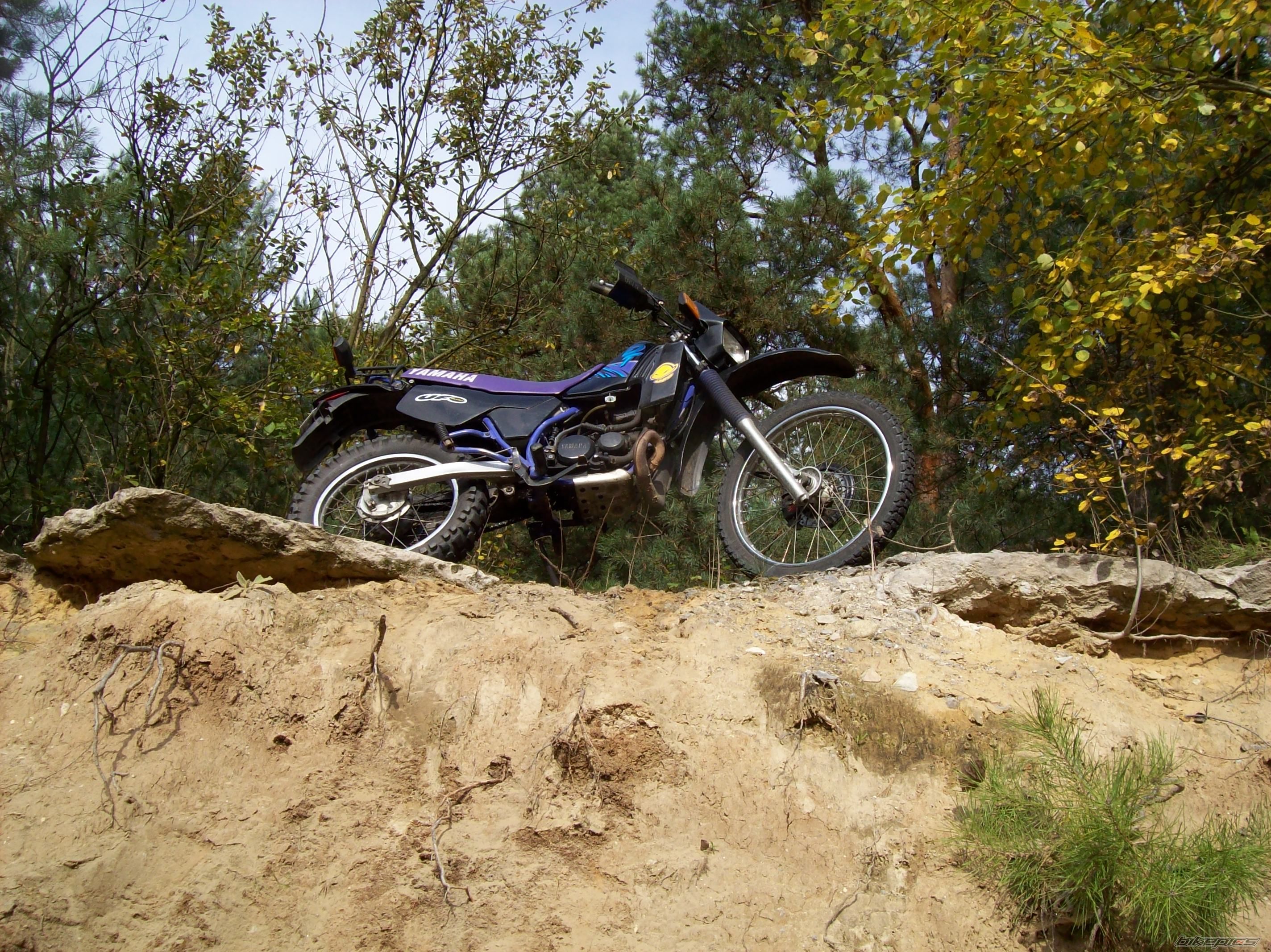 Photo 1447326