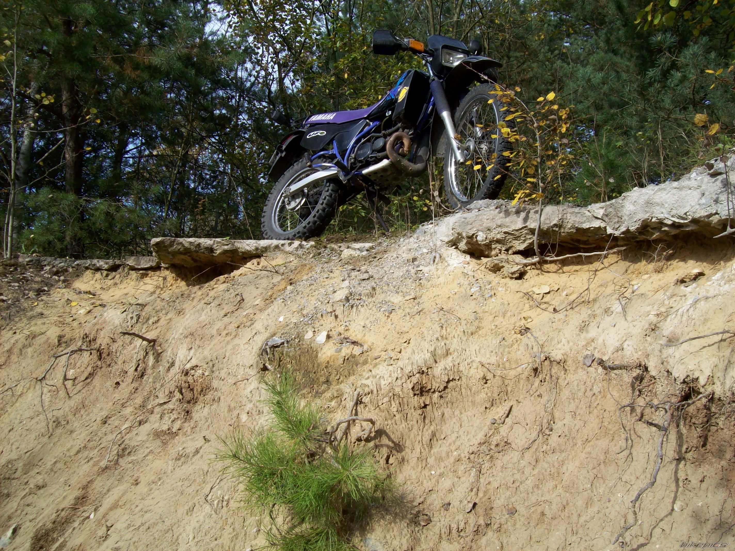 Photo 1447335