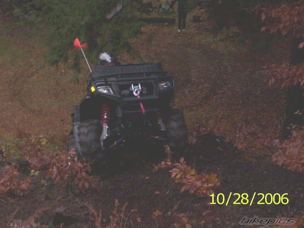 Photo 1447373
