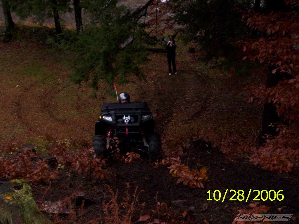 Photo 1447383