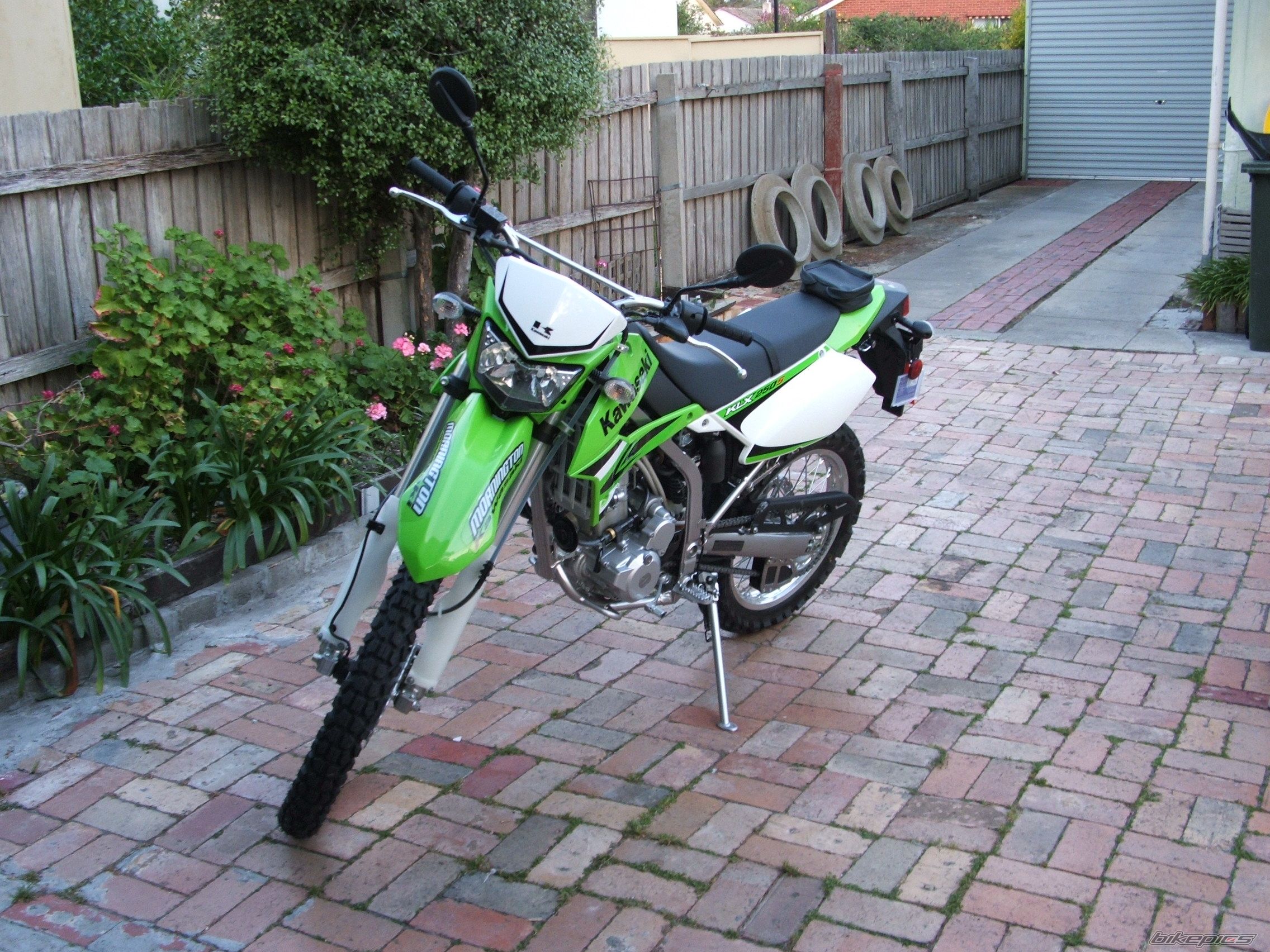 Photo 1447387