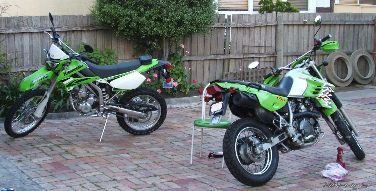 Photo 1447389