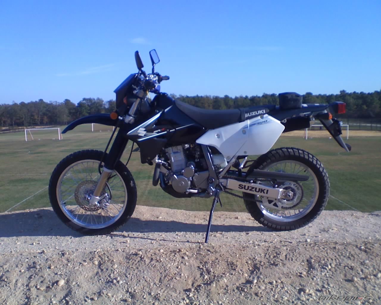 Photo 1447402