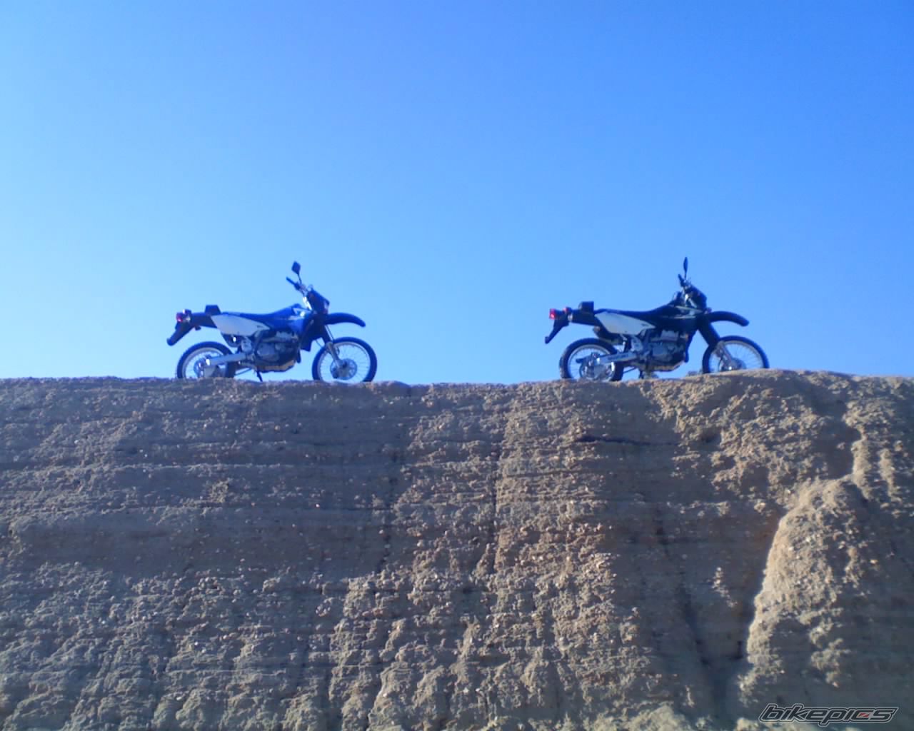 Photo 1447404