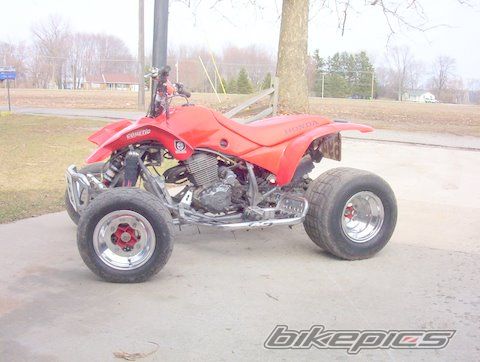 Photo 1447424