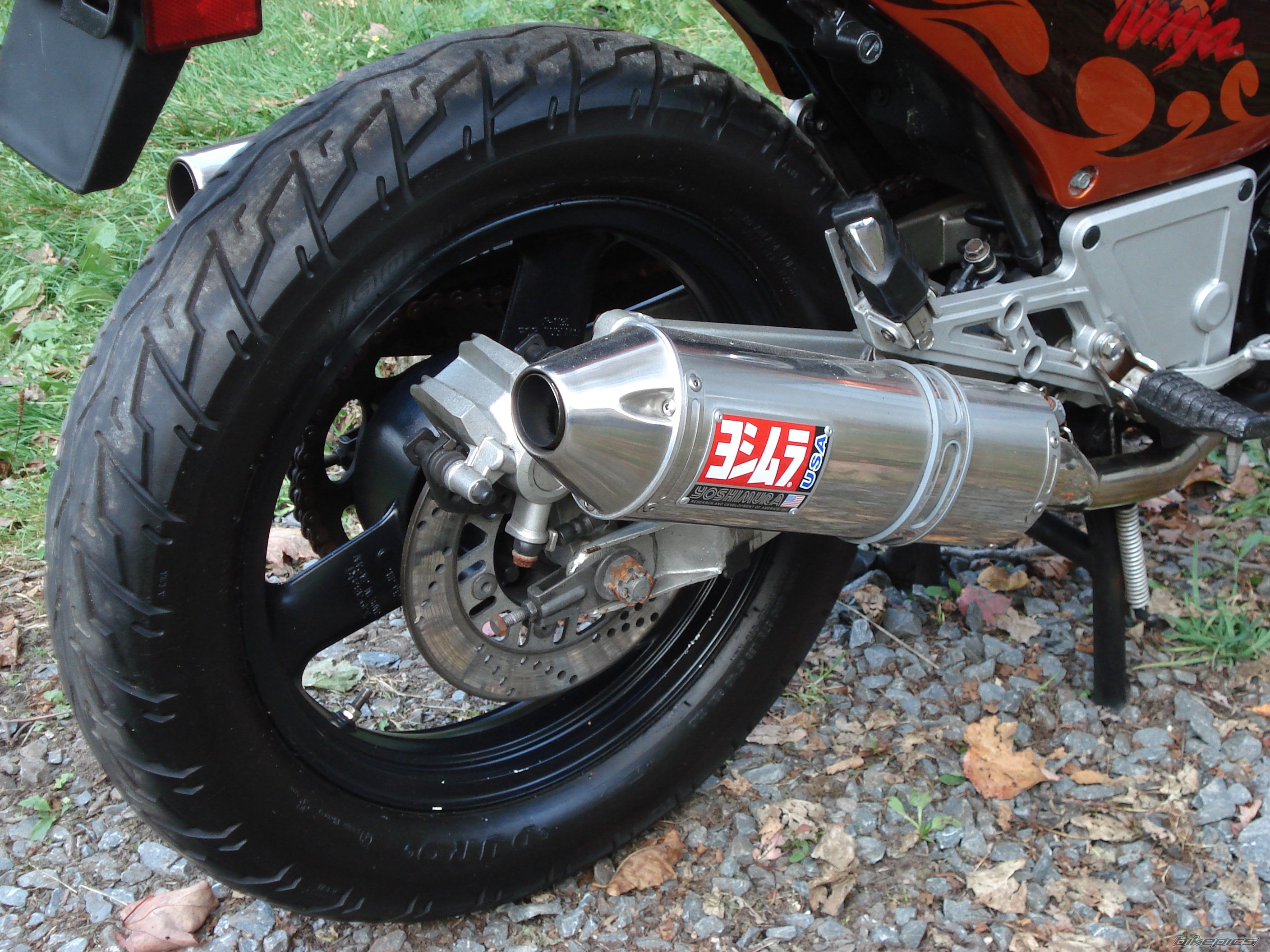 Photo 1447425