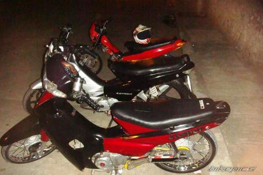 Photo 1447432