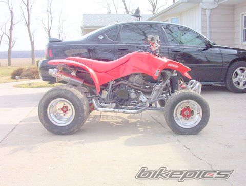 Photo 1447440