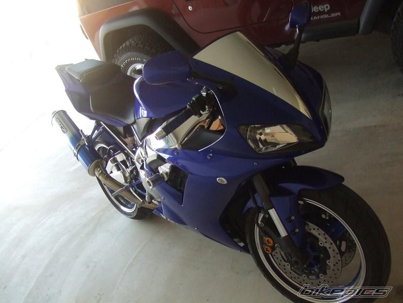 Photo 1447531