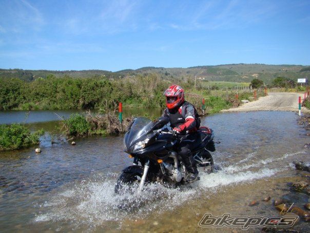 Photo 1447535