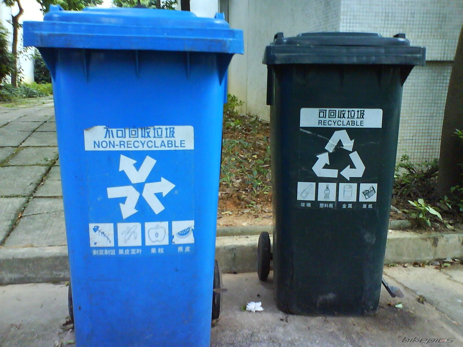 Photo 1447541