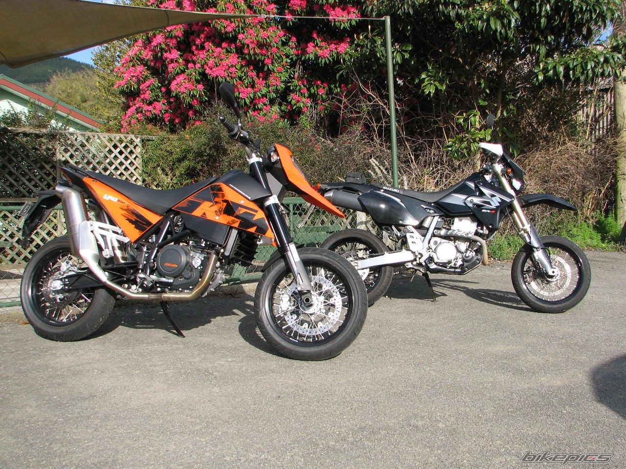 Photo 1447547