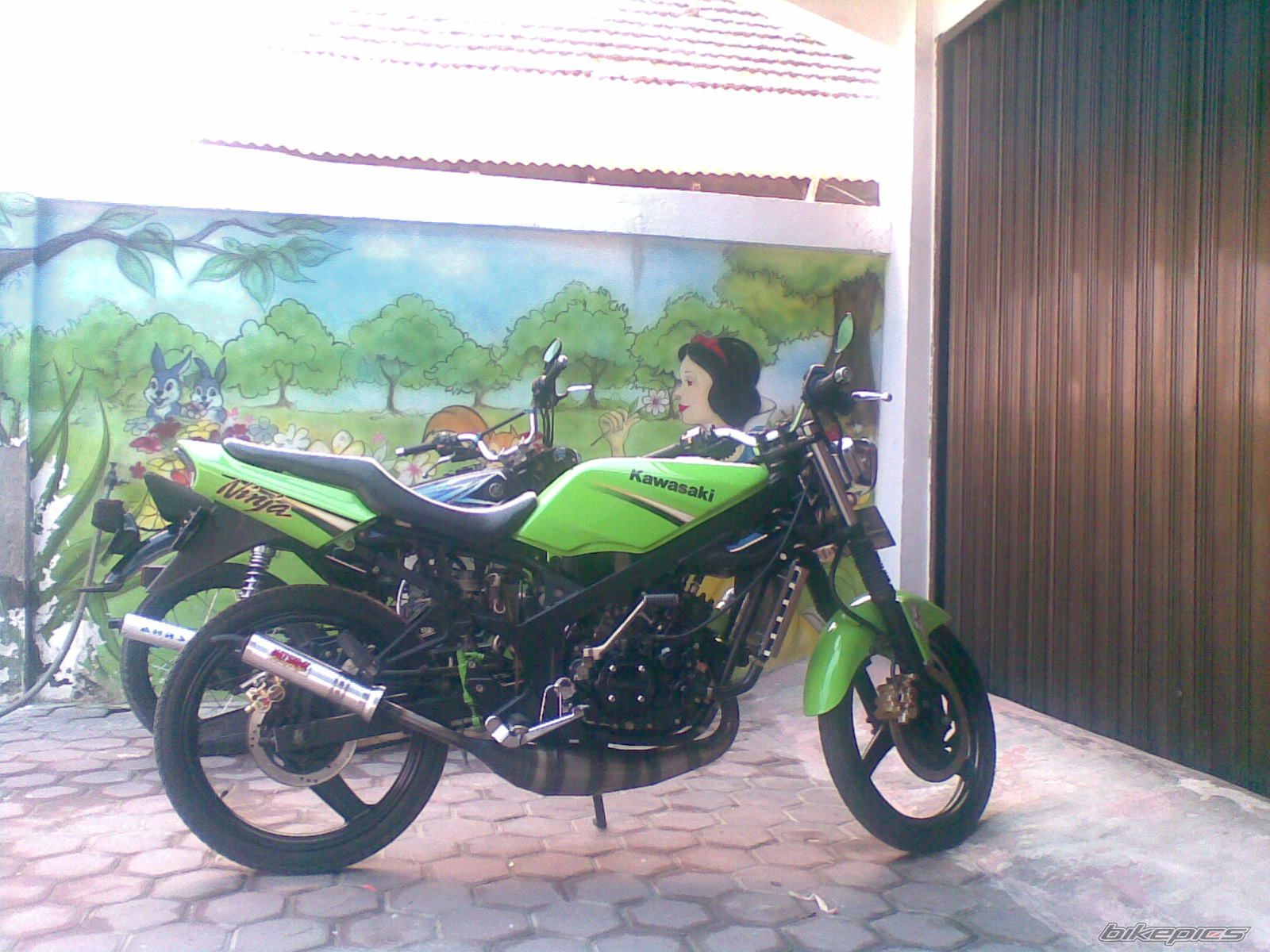Photo 1447585