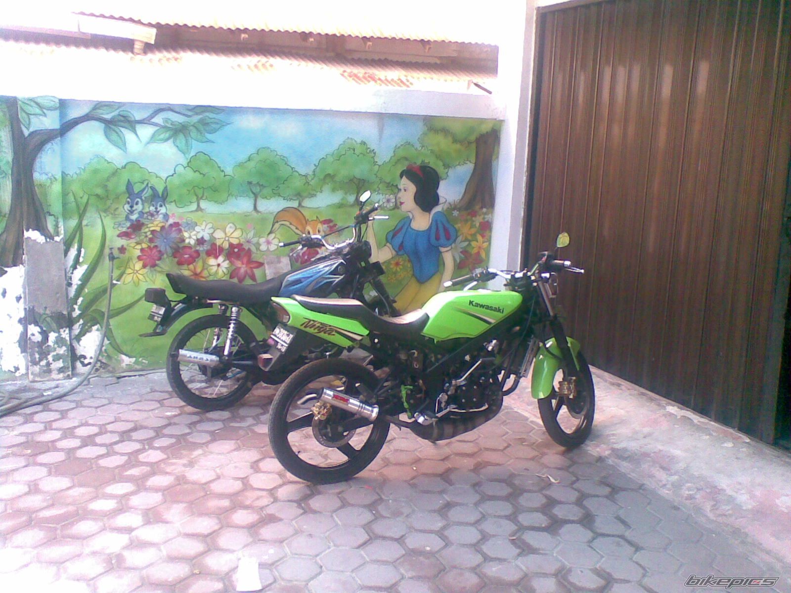 Photo 1447589
