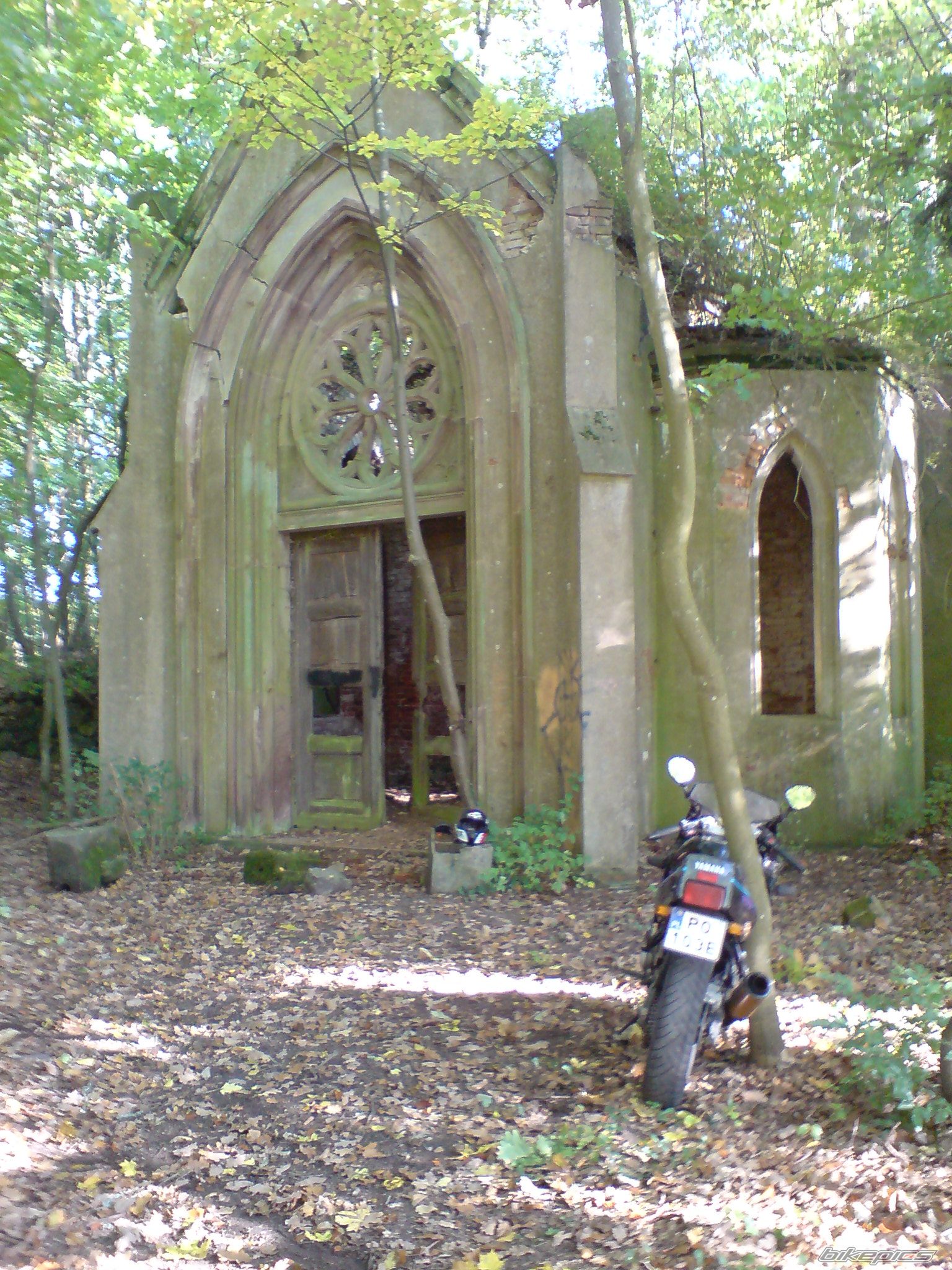 Photo 1447630