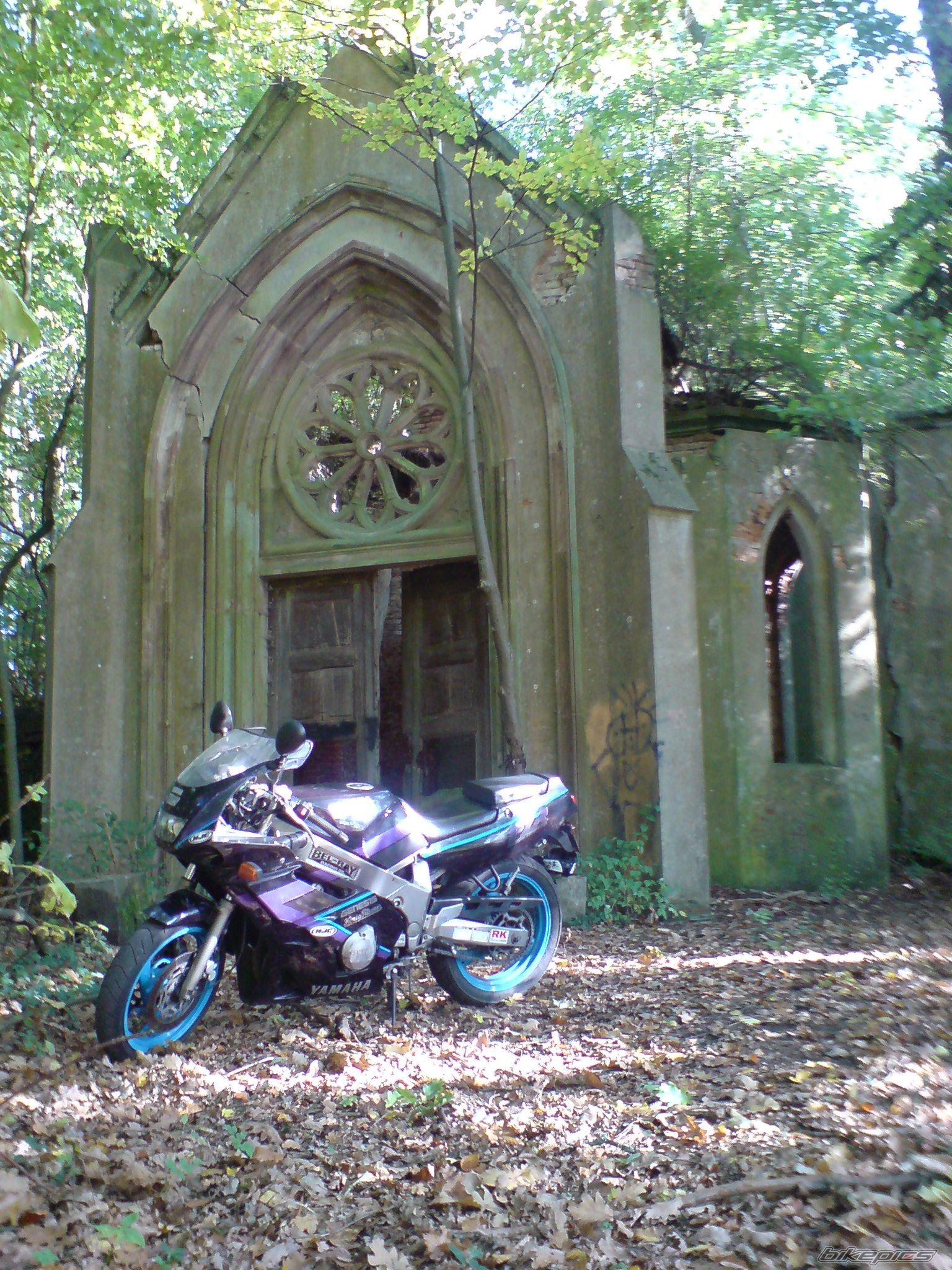 Photo 1447632