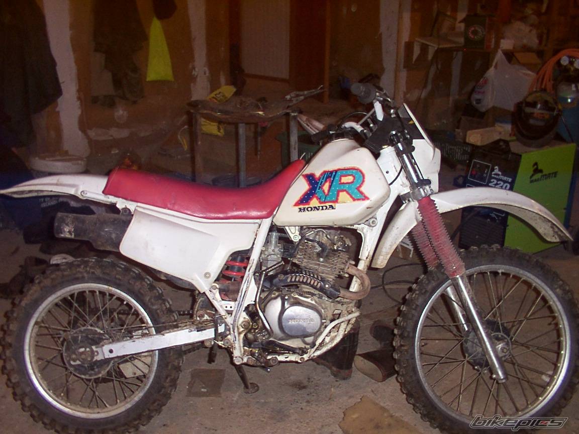 Photo 144764