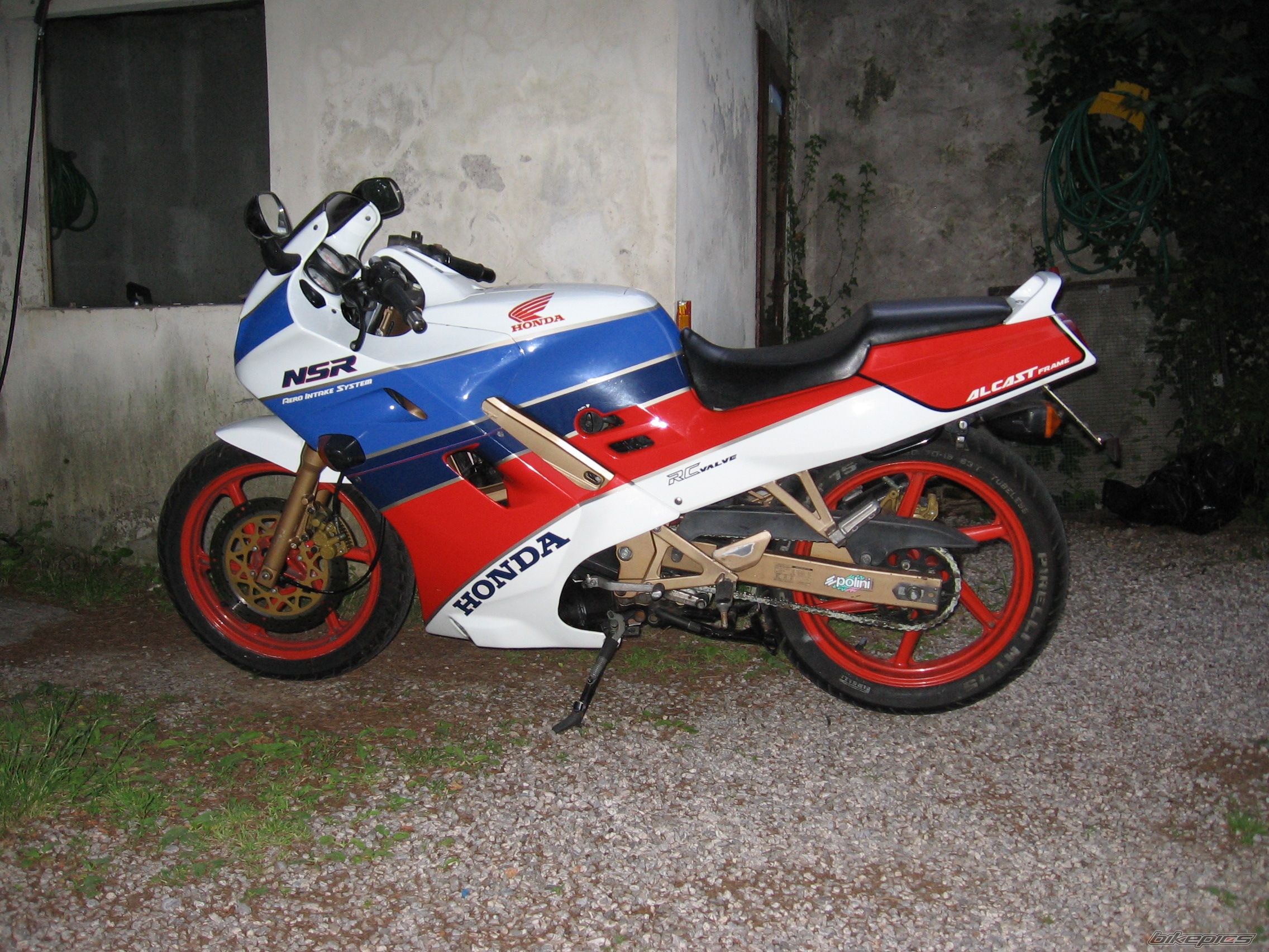 Photo 1447641