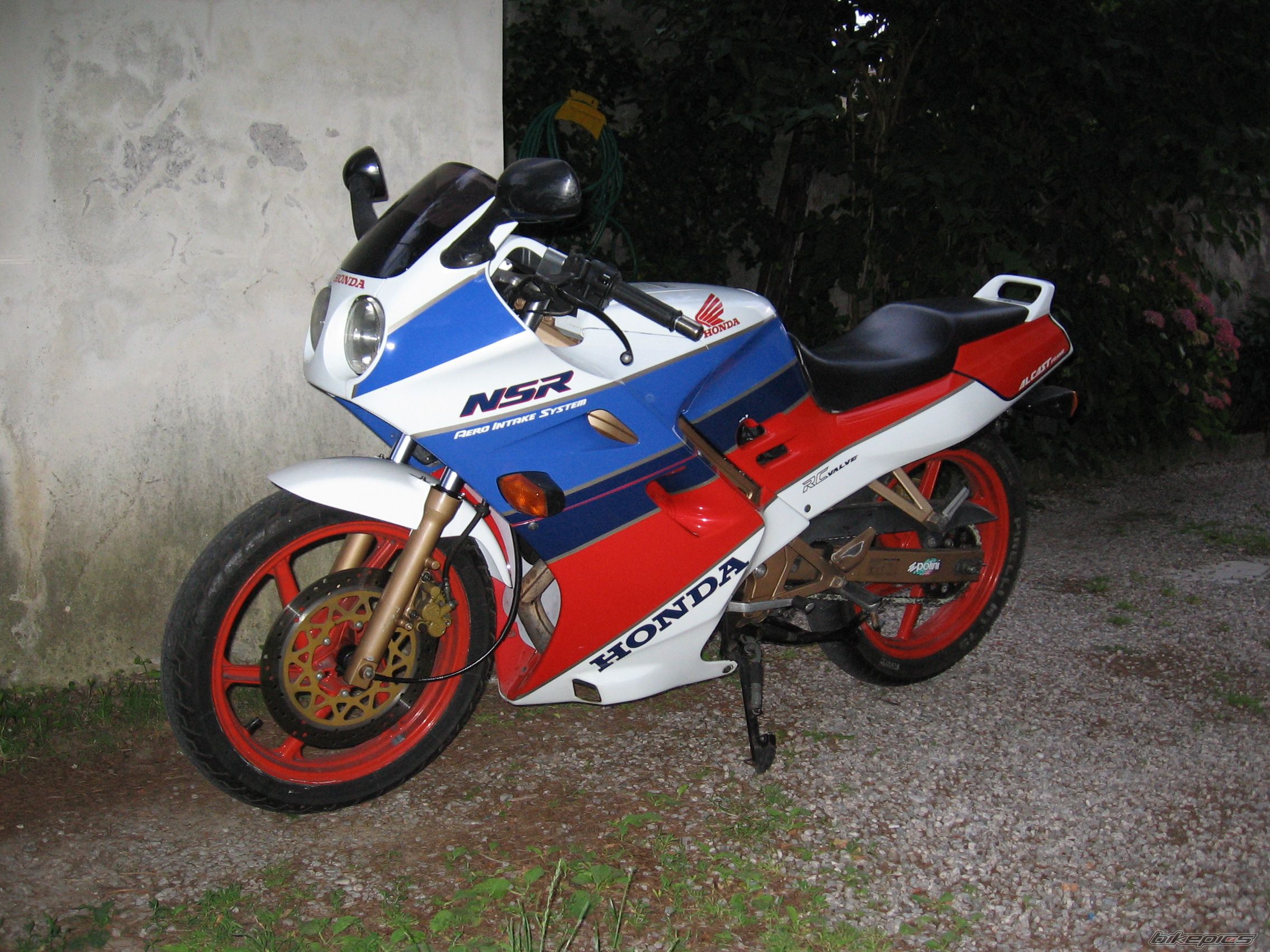 Photo 1447644