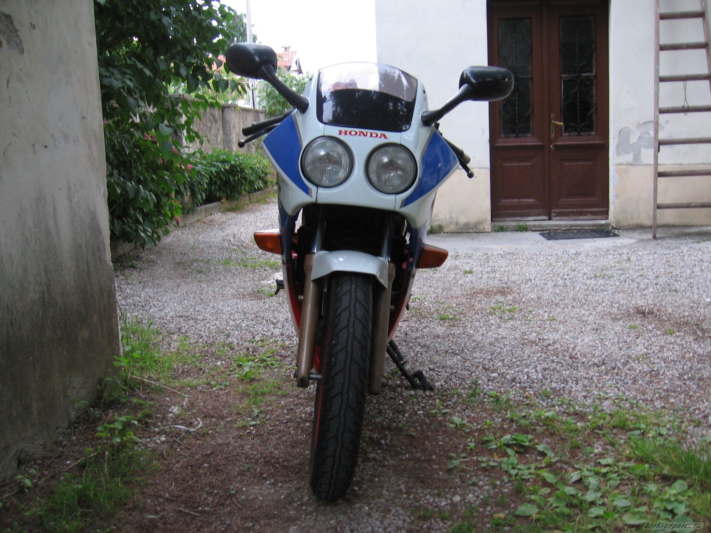 Photo 1447645