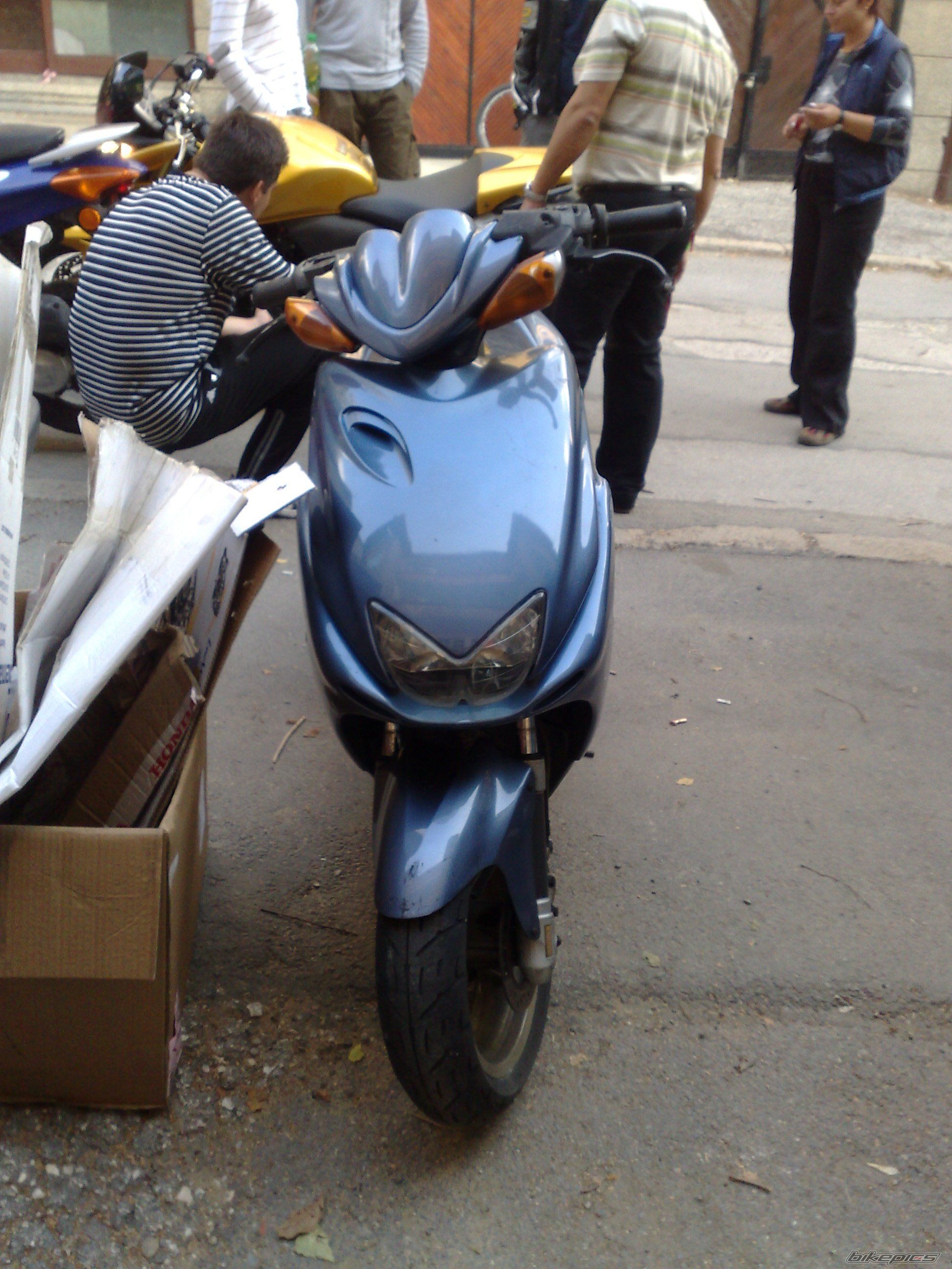 Photo 1447646