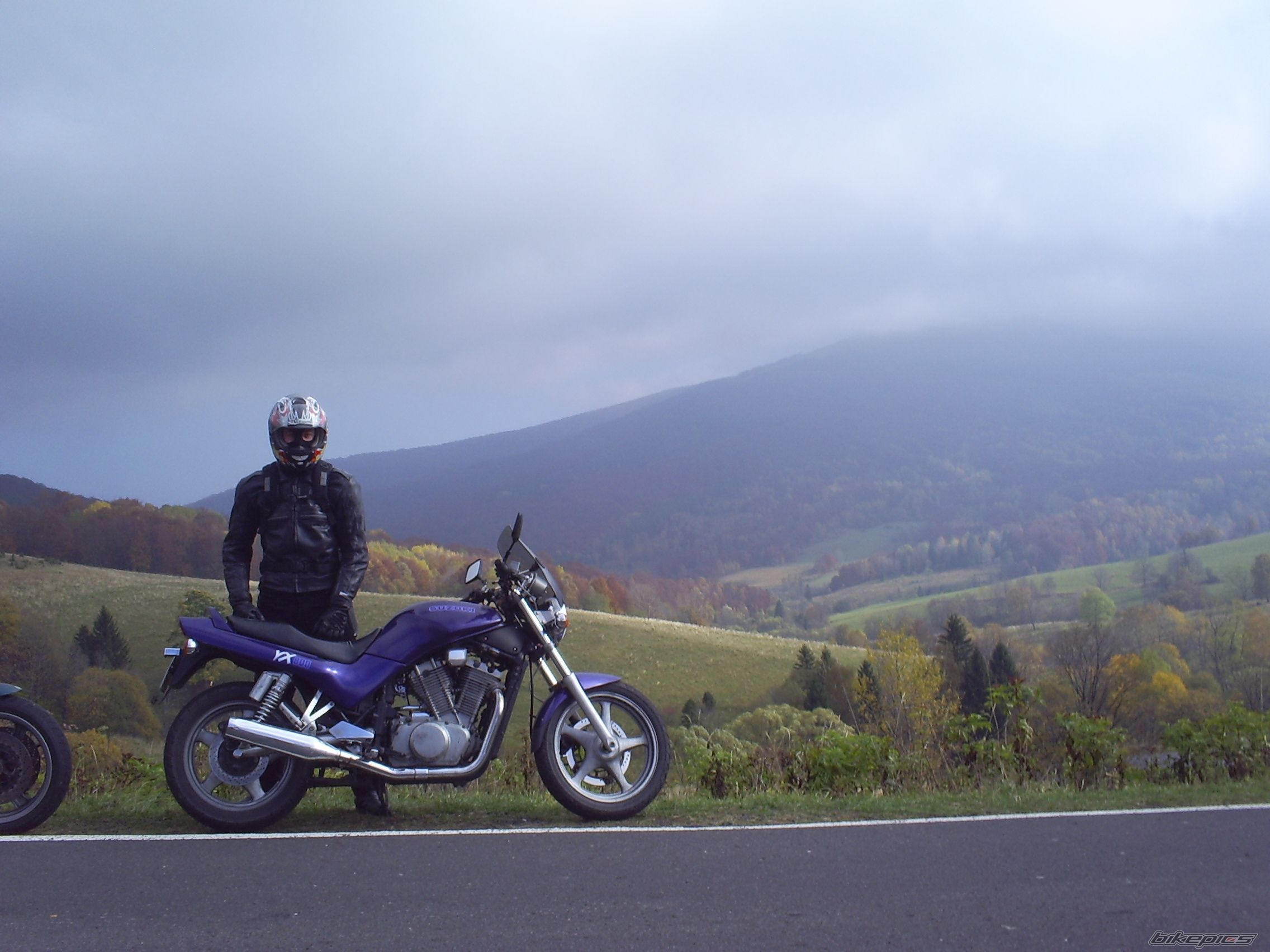 Photo 1447647