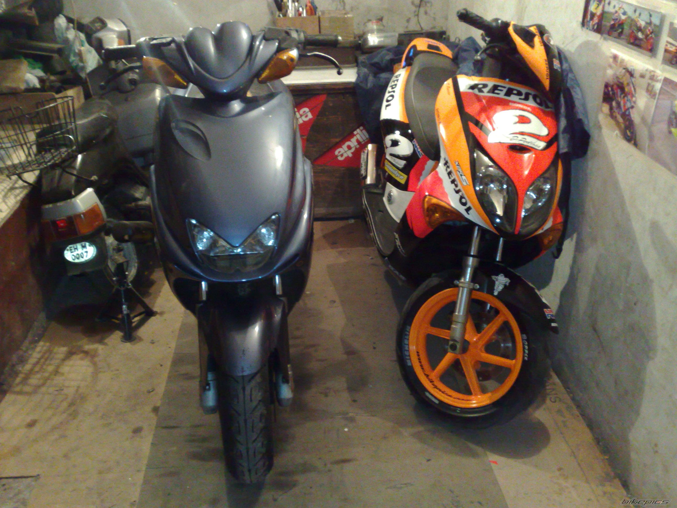 Photo 1447649