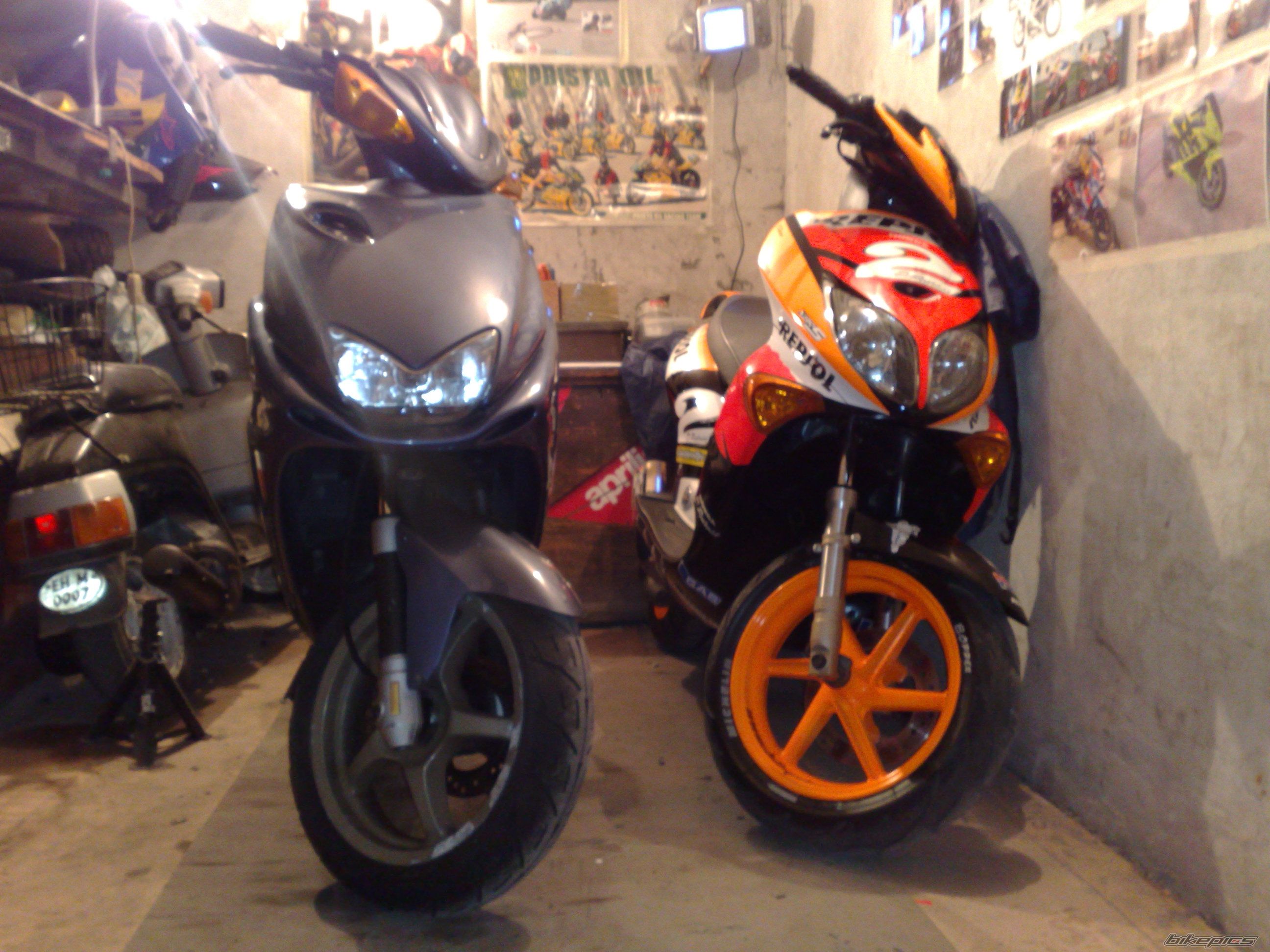 Photo 1447652