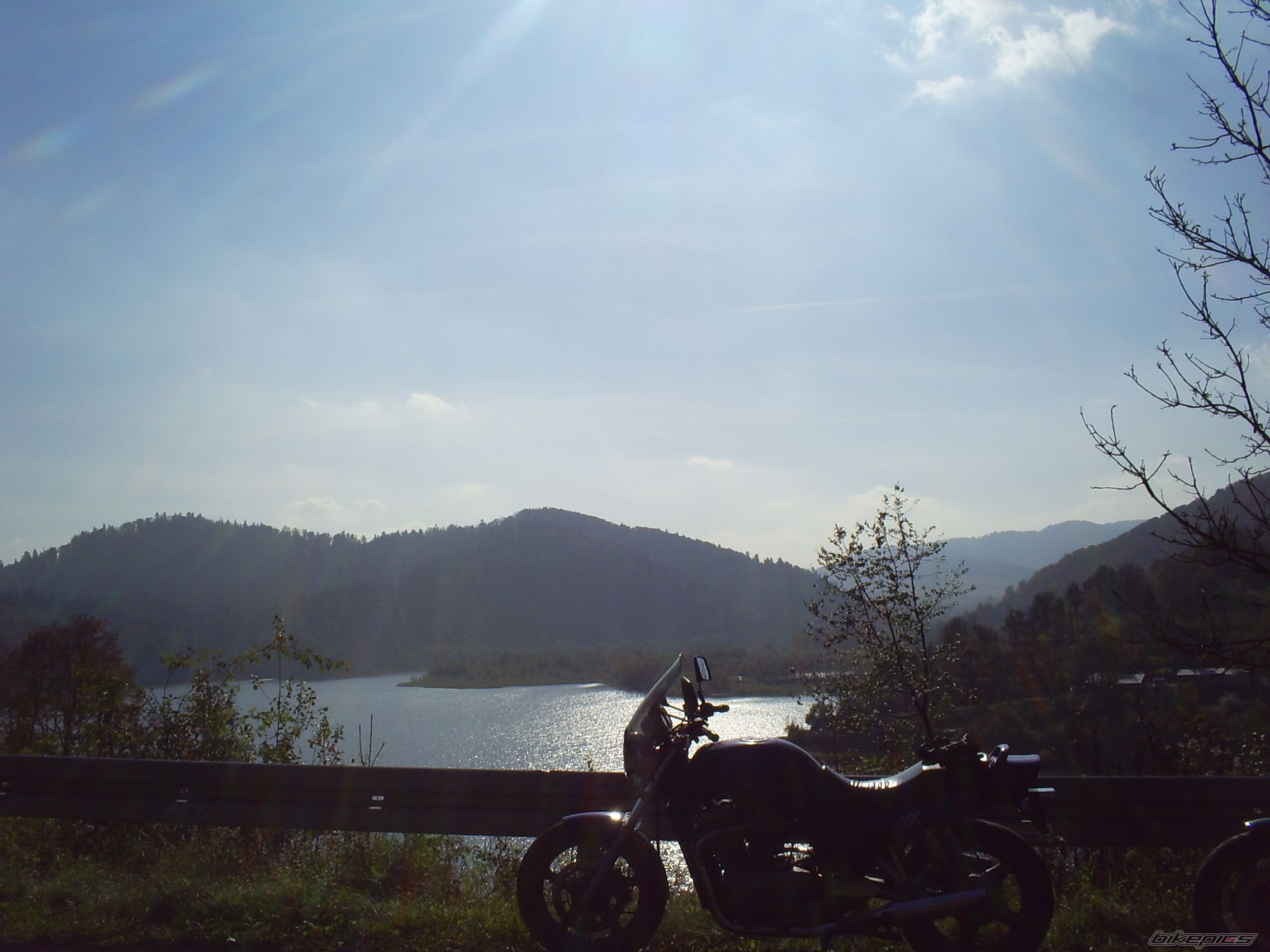 Photo 1447654