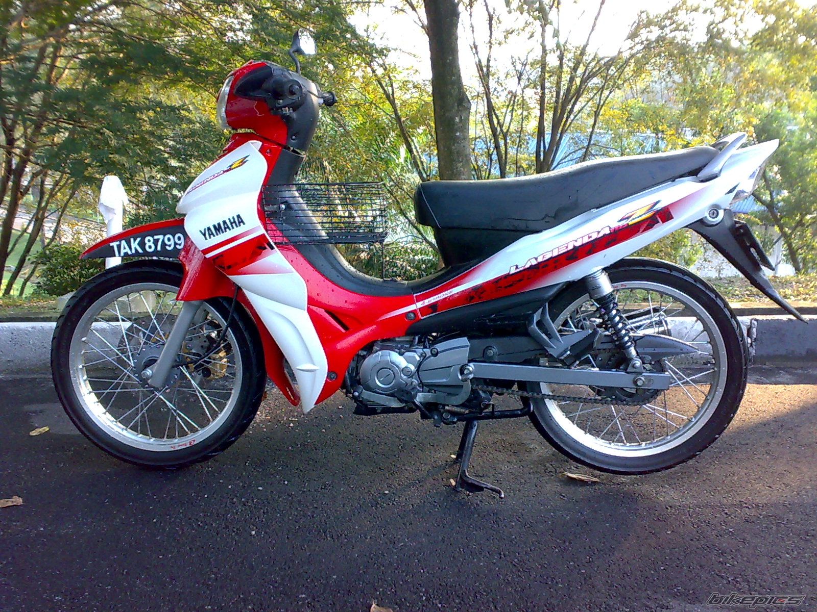Photo 1447672