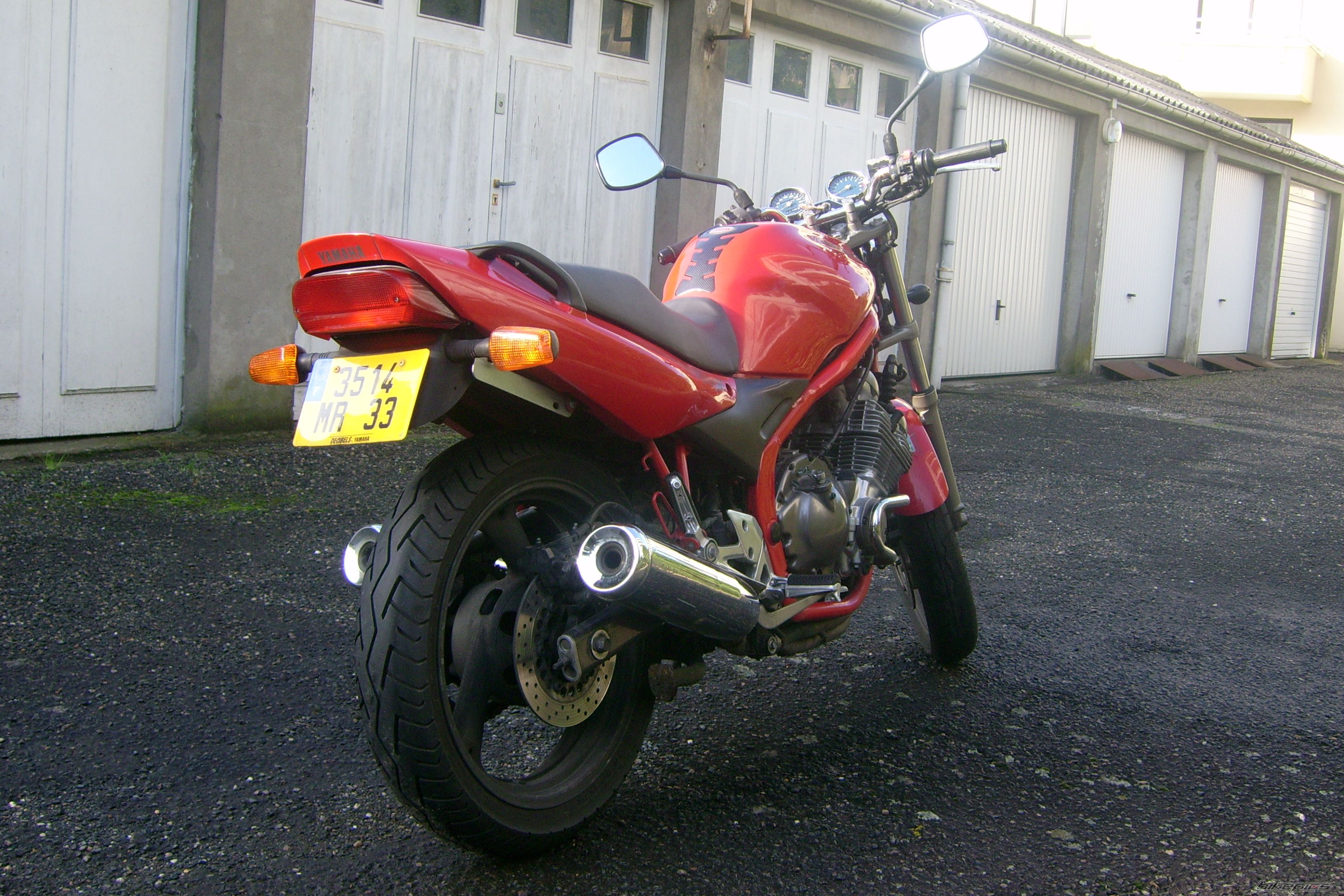 Photo 1447675