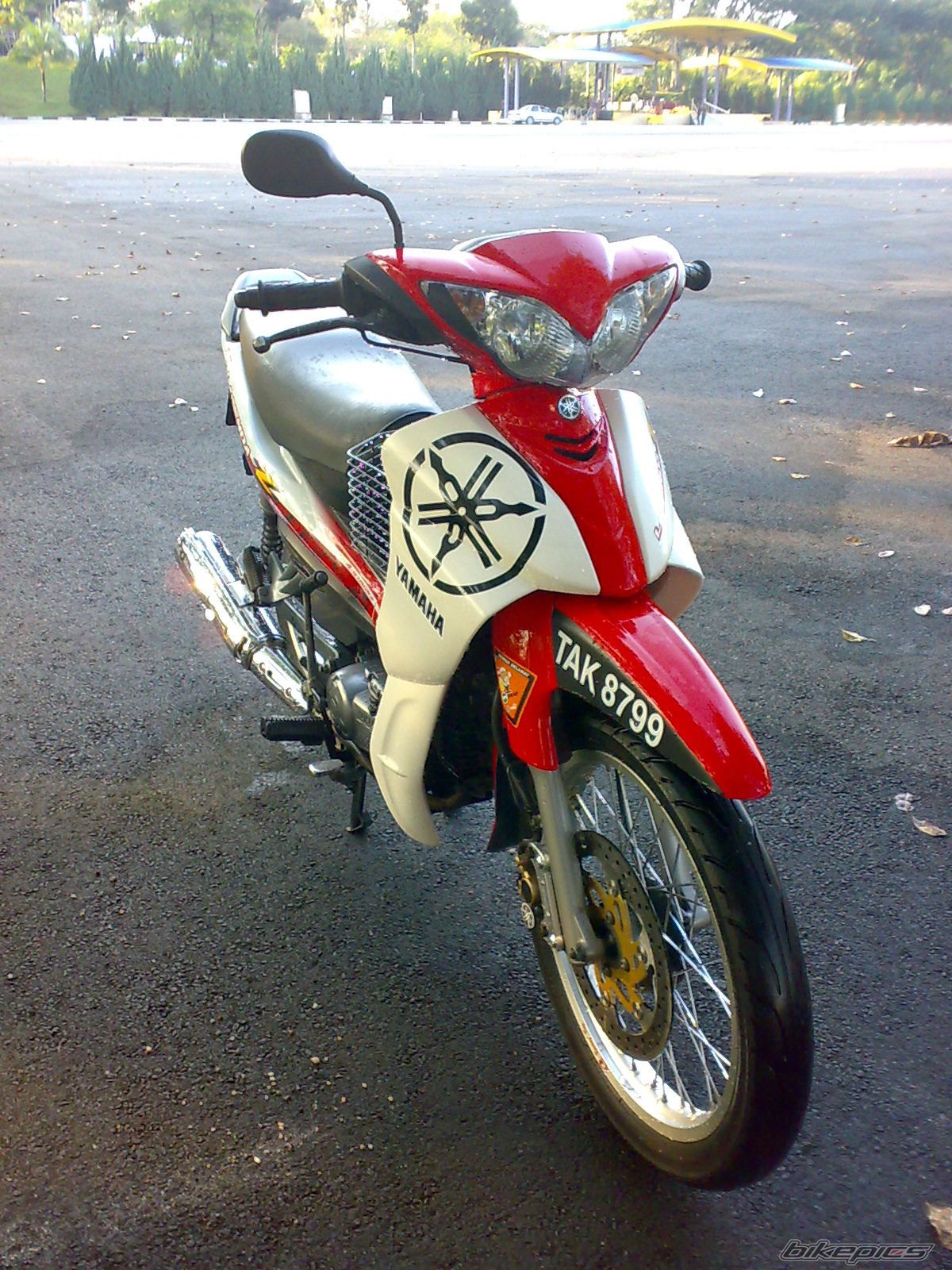 Photo 1447677