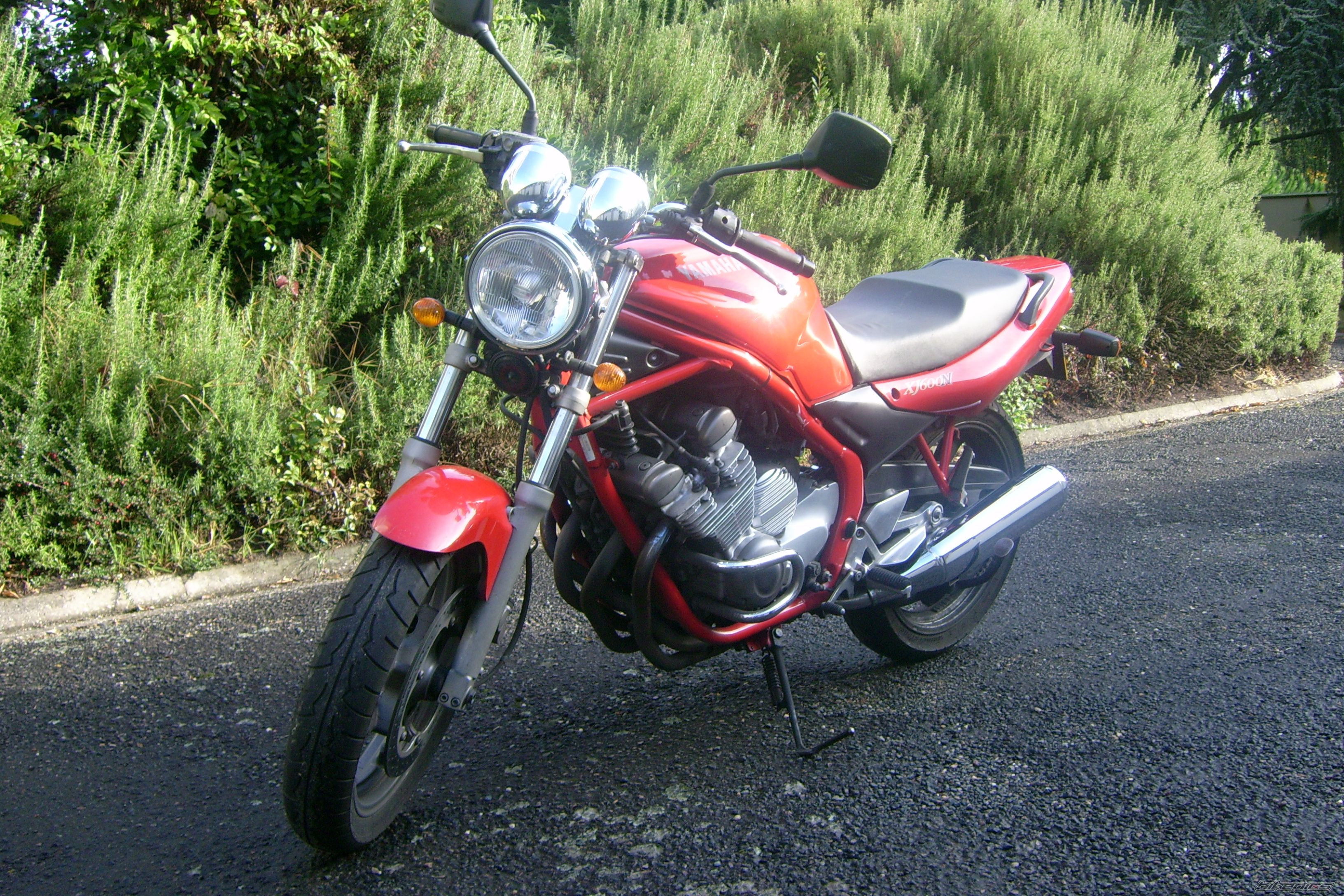 Photo 1447678