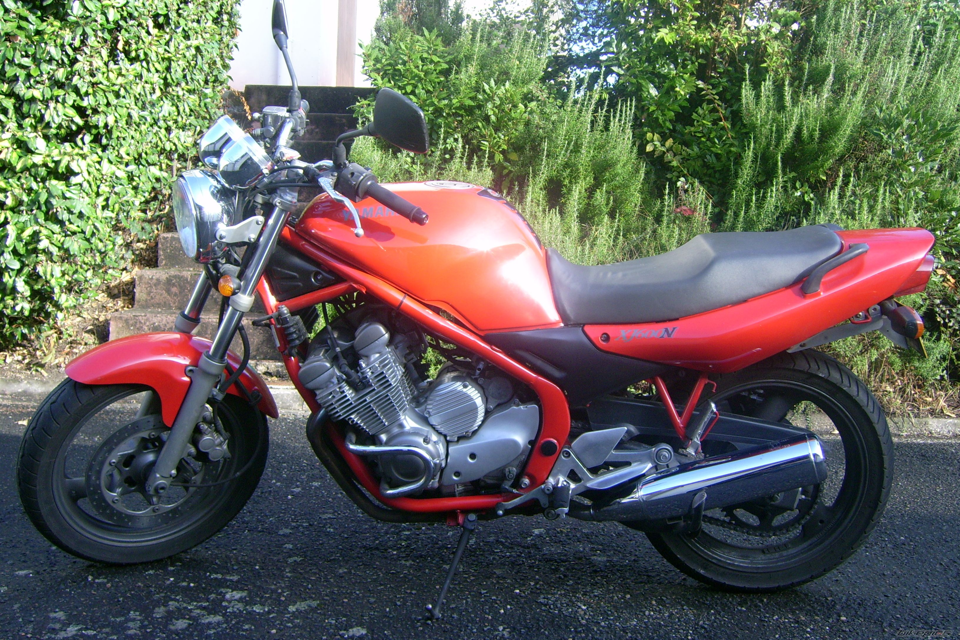Photo 1447680