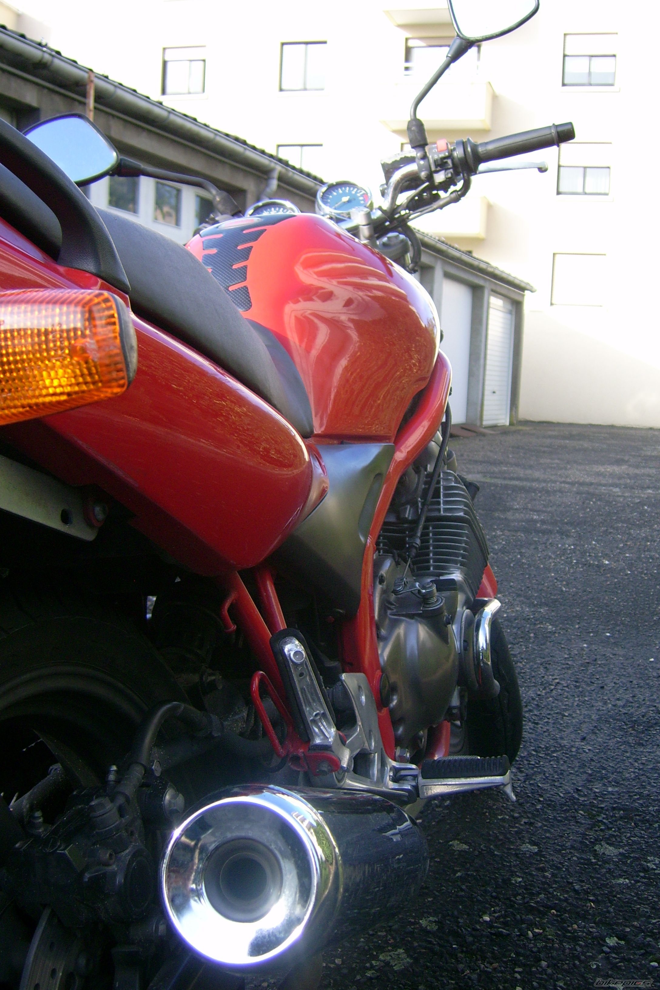Photo 1447682