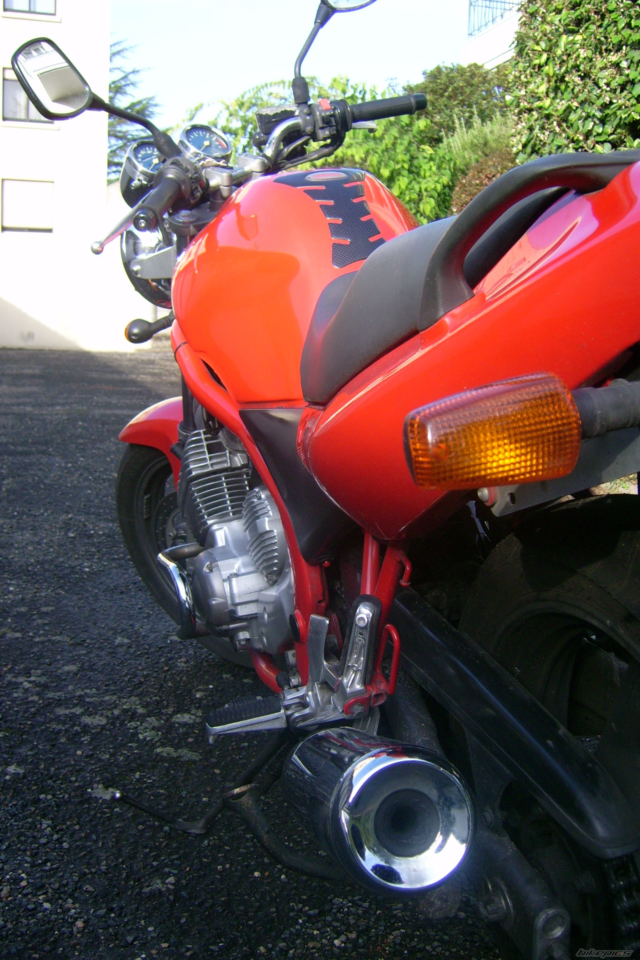 Photo 1447683