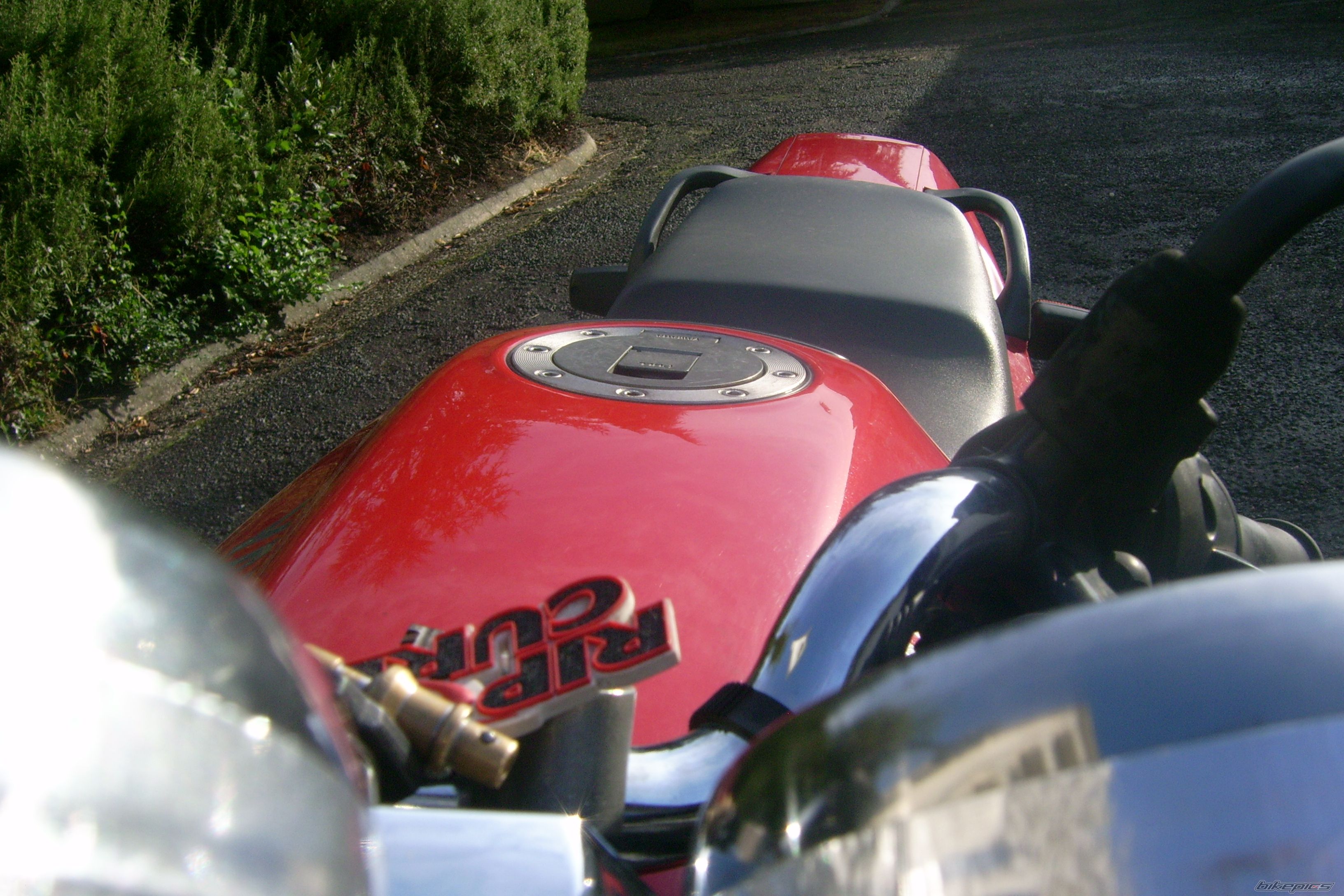 Photo 1447688