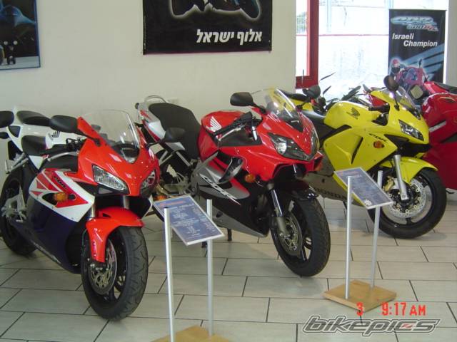 Photo 144769