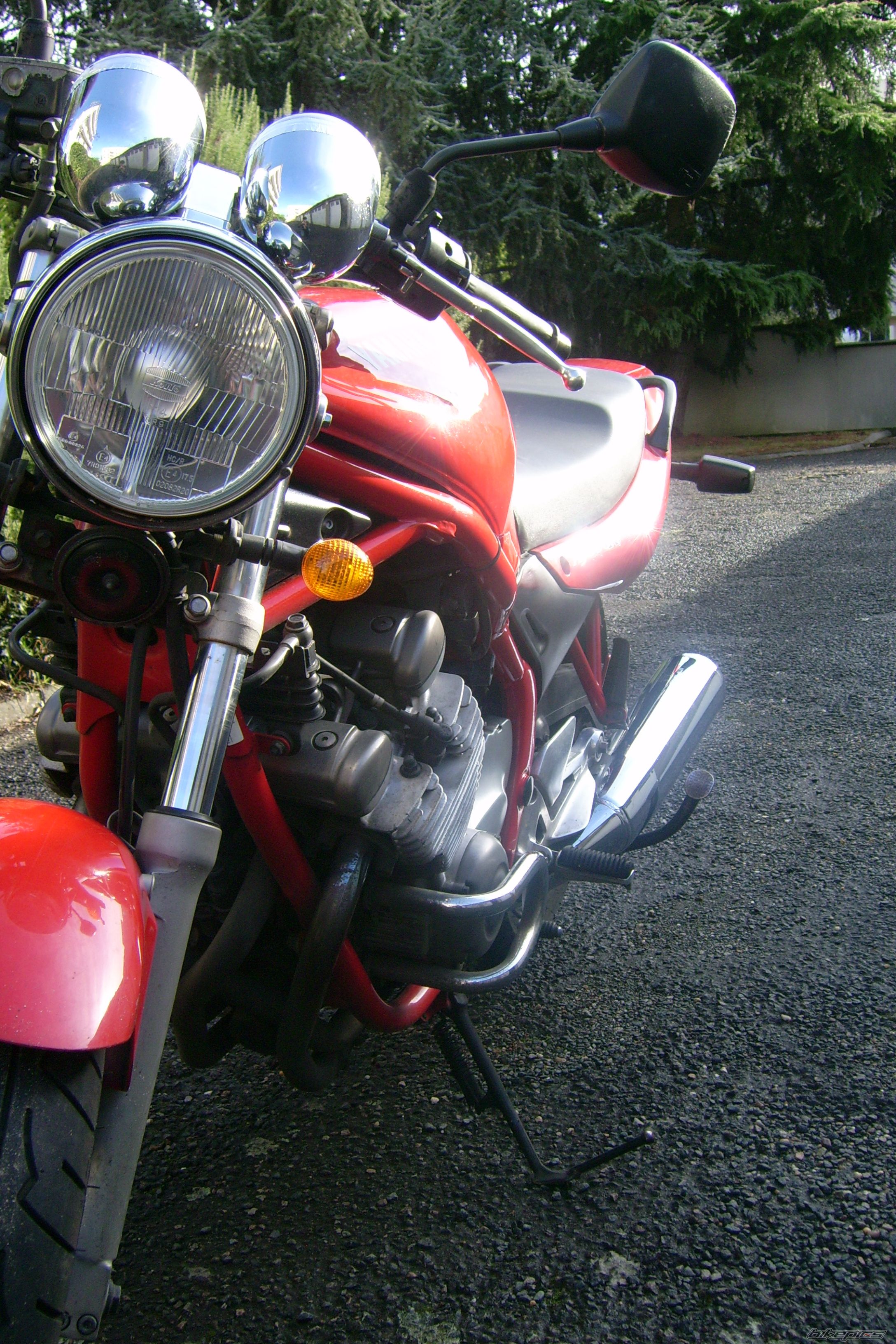 Photo 1447691