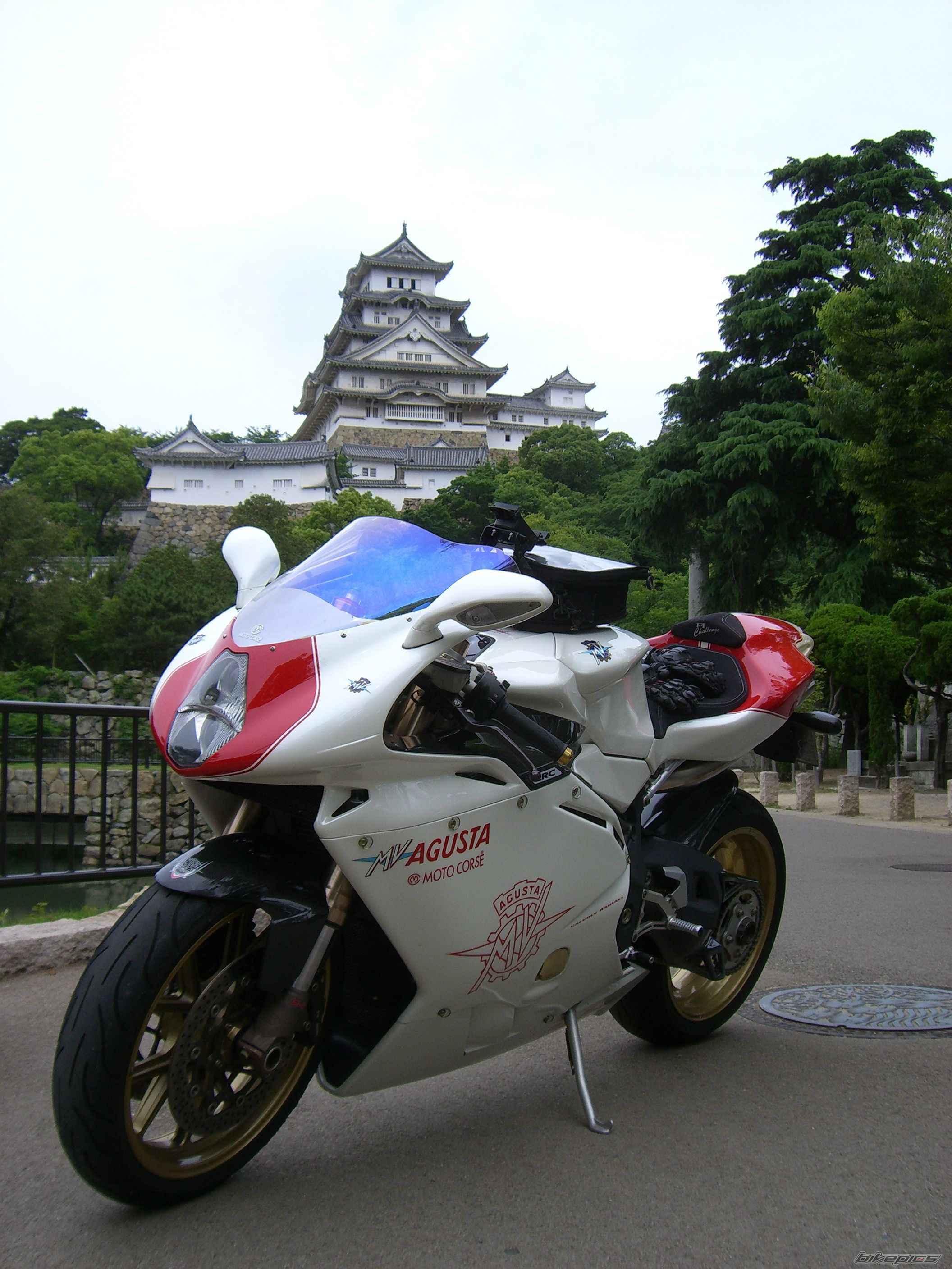 Photo 1447722
