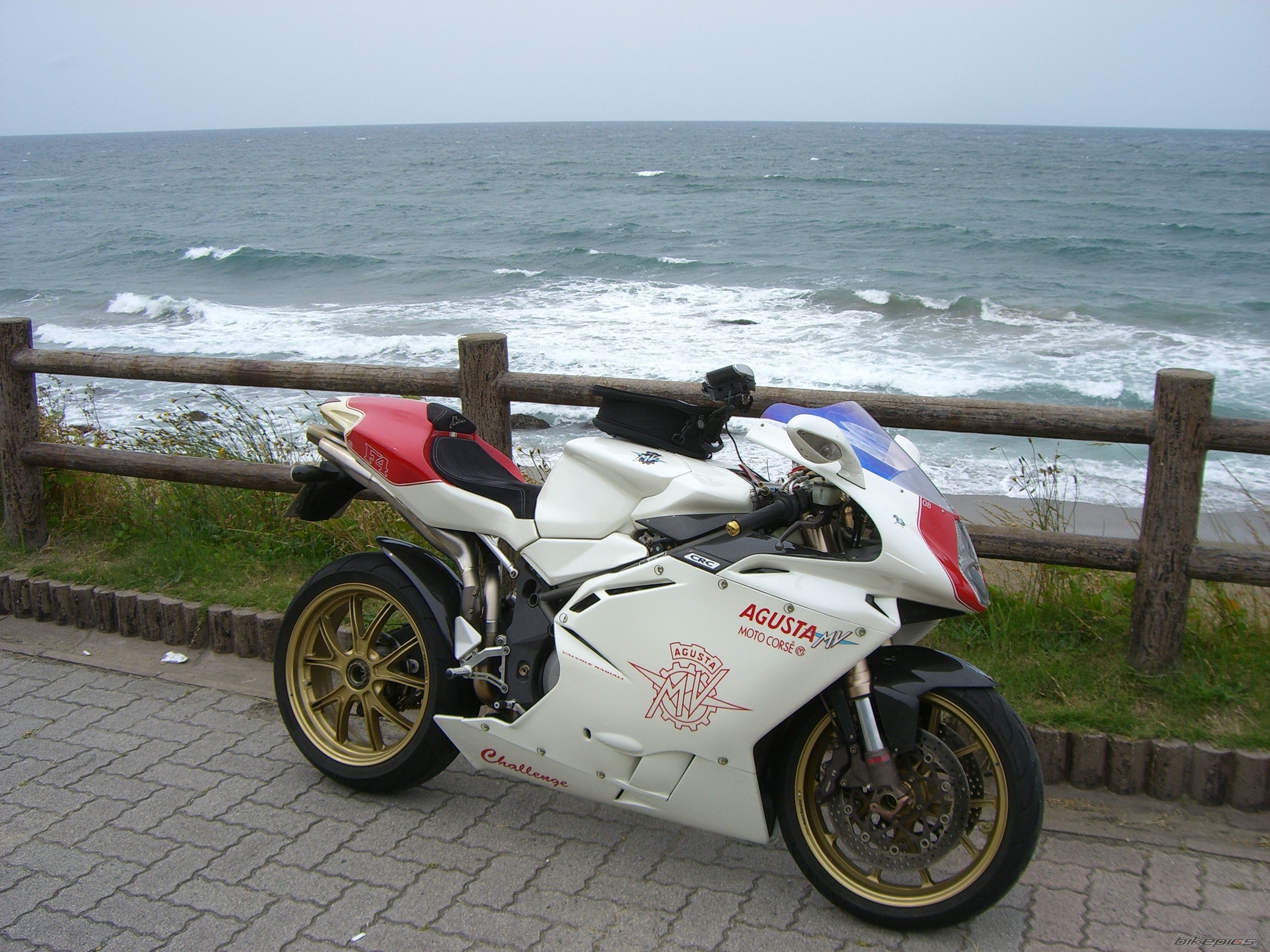 Photo 1447724