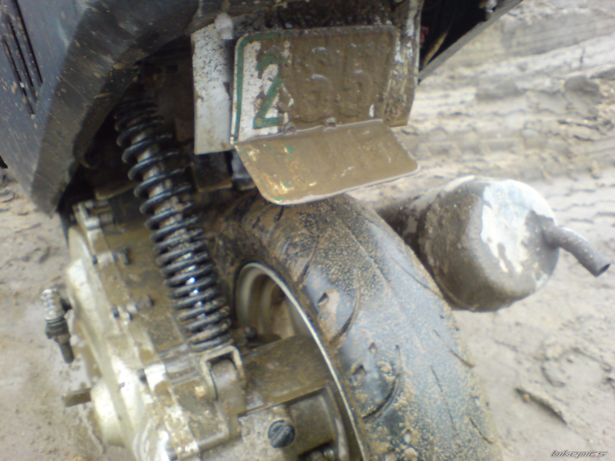 Photo 1447726