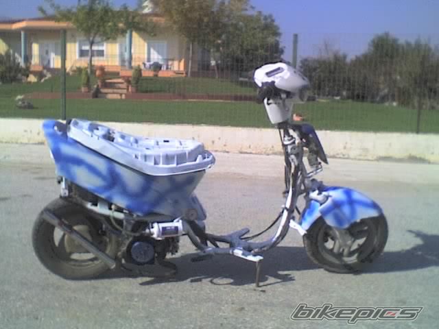 Photo 1447765