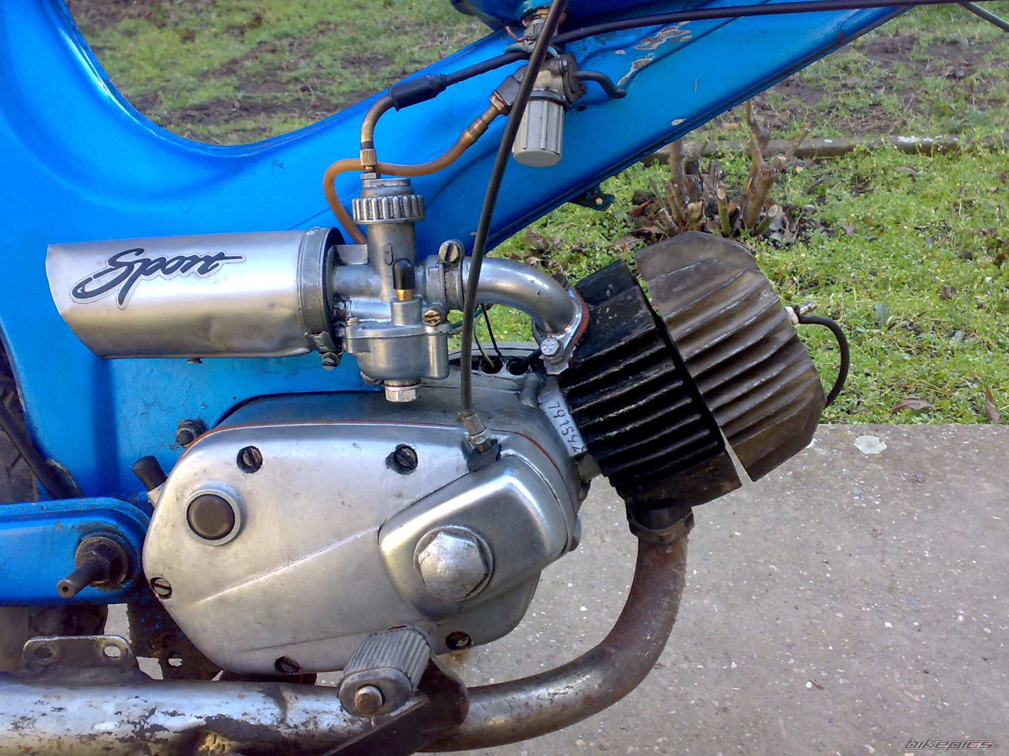 Photo 1447769
