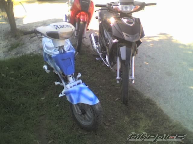 Photo 1447772