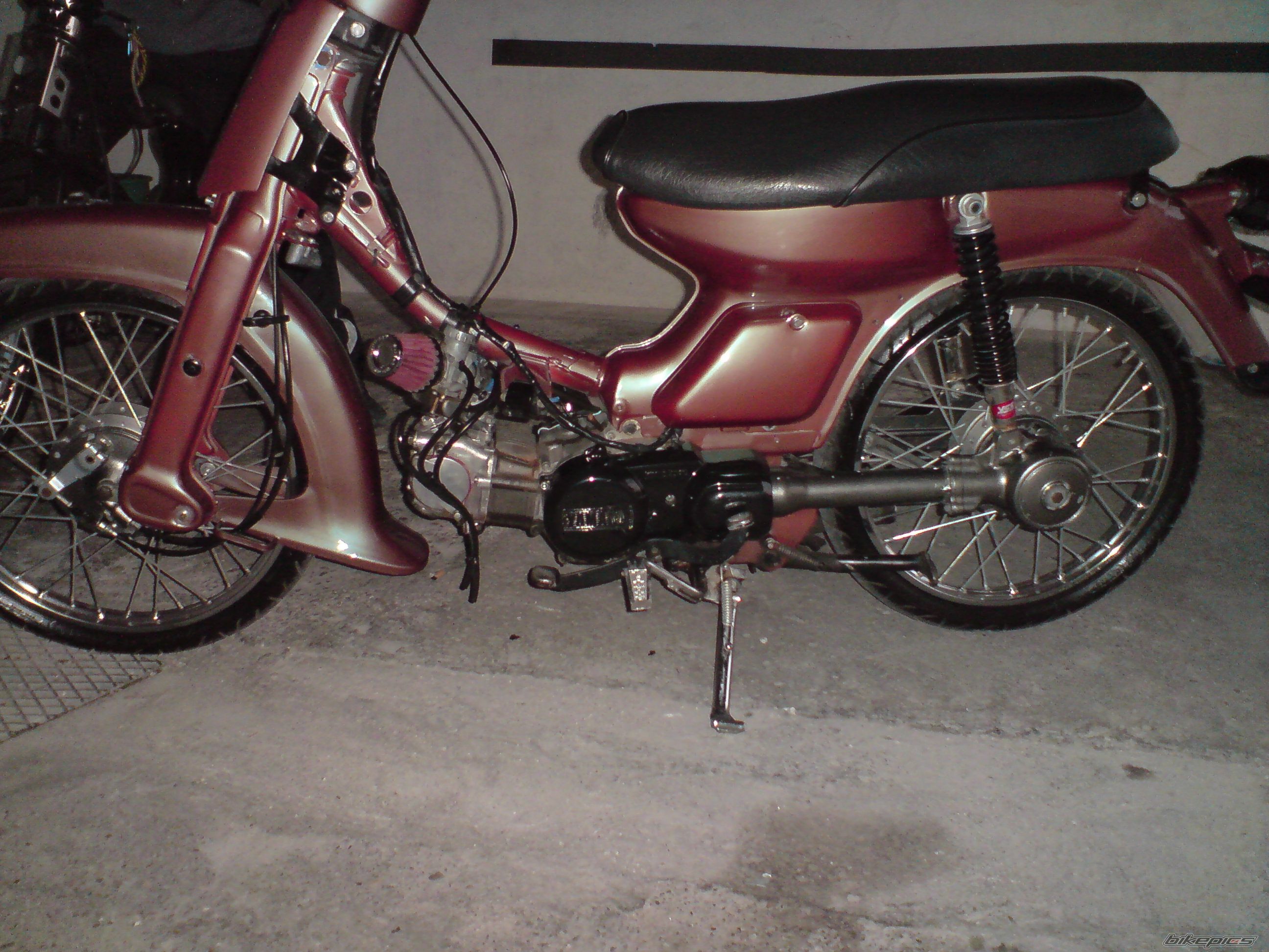 Photo 1447774