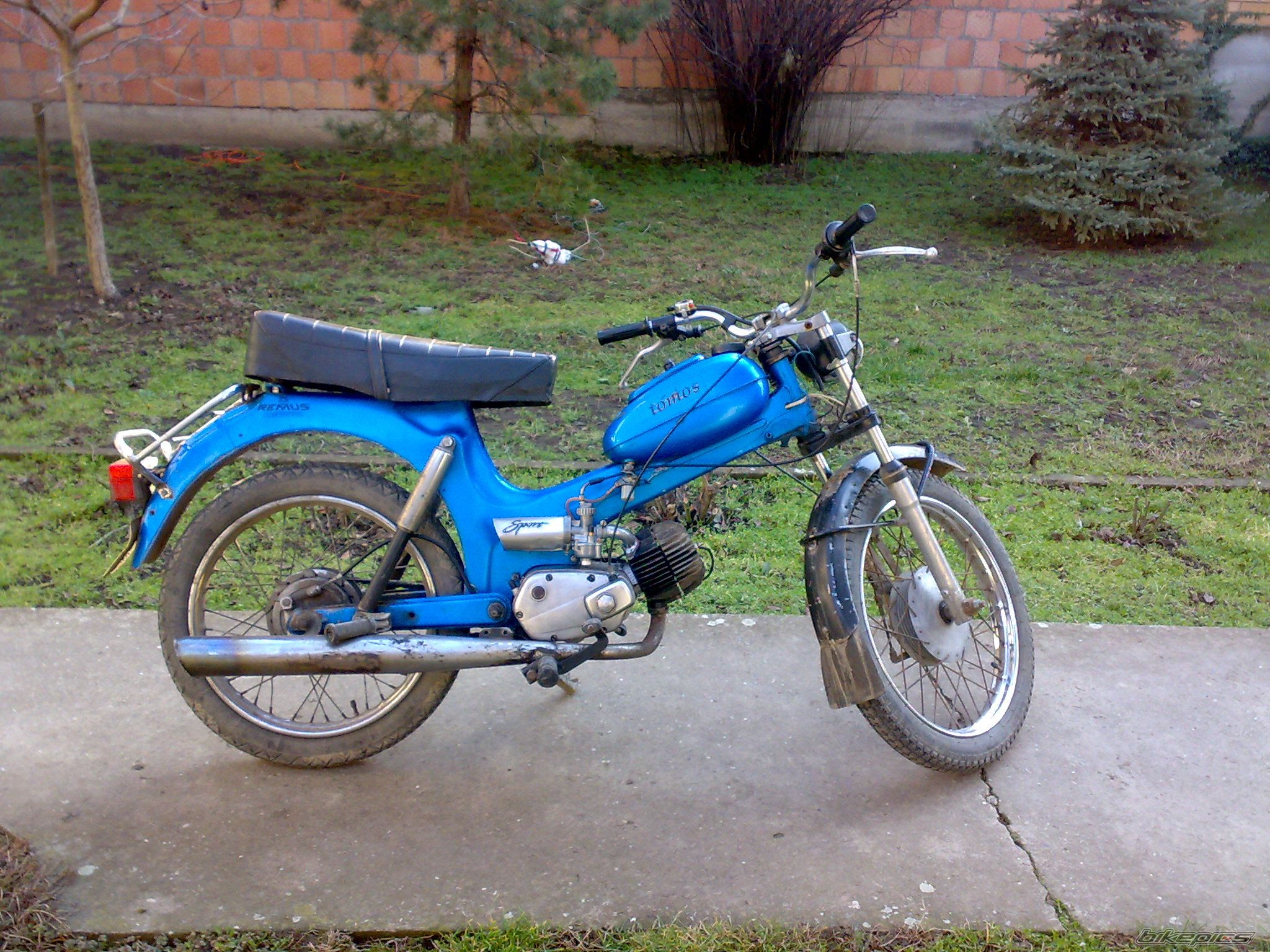 Photo 1447775